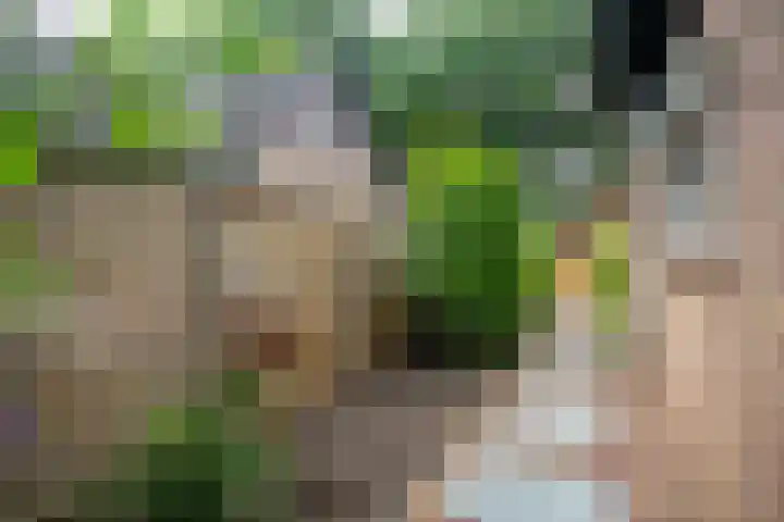 Eeckelhagen 9 Nunspeet thumbnail 81