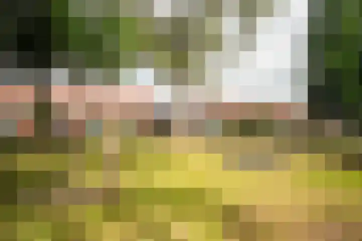 Eeckelhagen 9 Nunspeet thumbnail 82