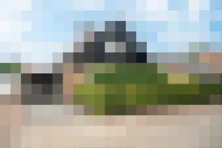 Eeckelhagen 9 Nunspeet thumbnail 83