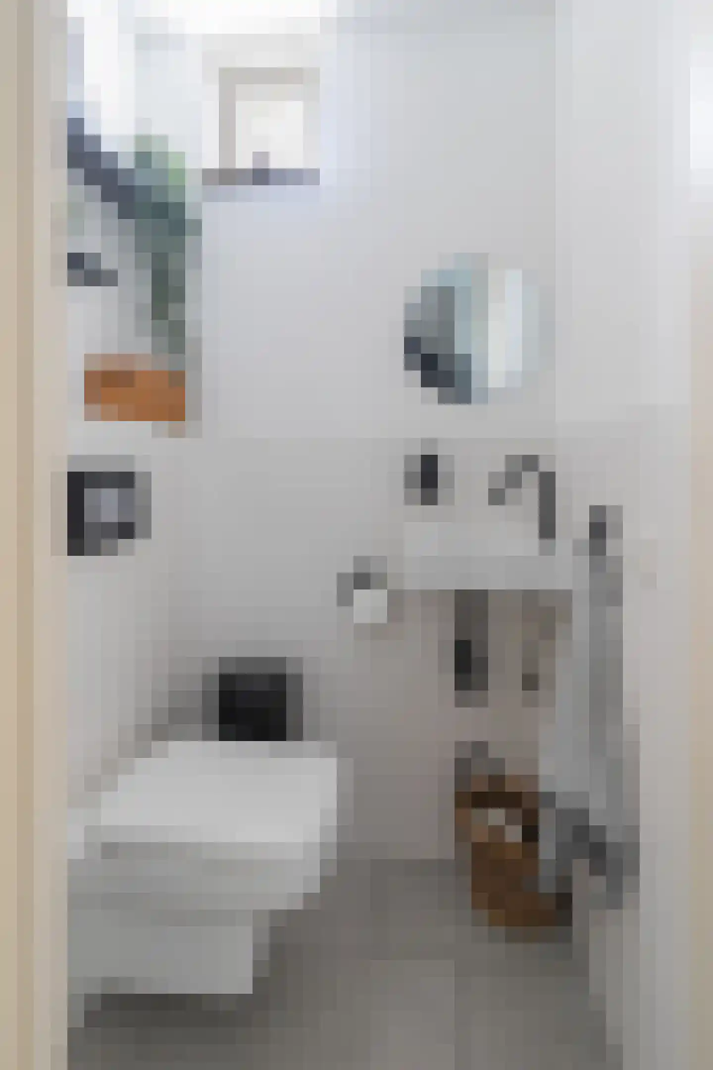 Eeckersteghe 18 Elsloo thumbnail 12