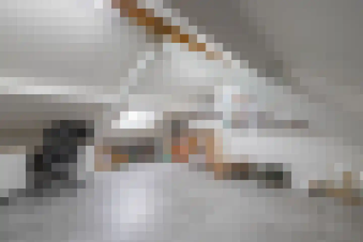 Eeckersteghe 18 Elsloo thumbnail 19