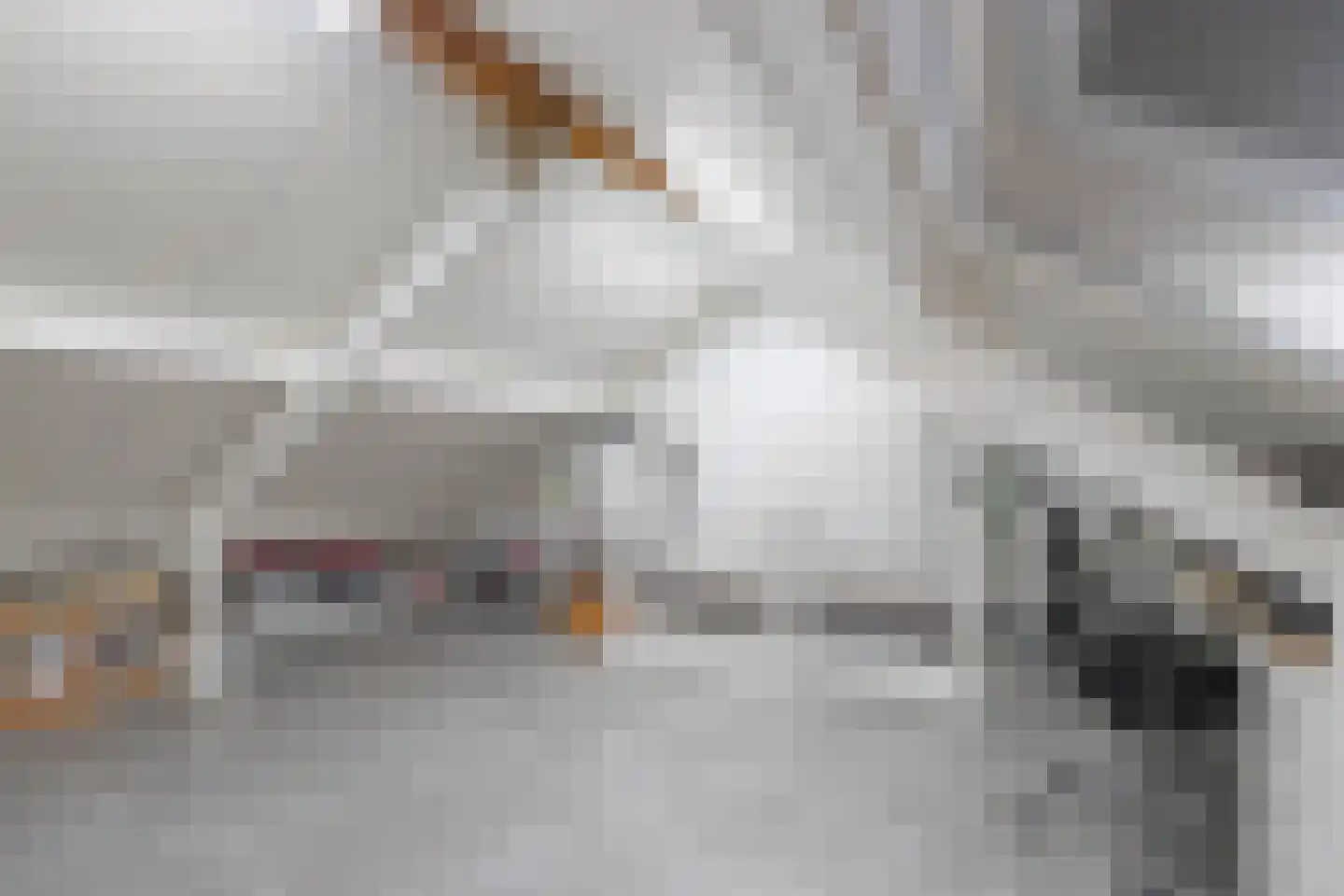 Eeckersteghe 18 Elsloo thumbnail 20