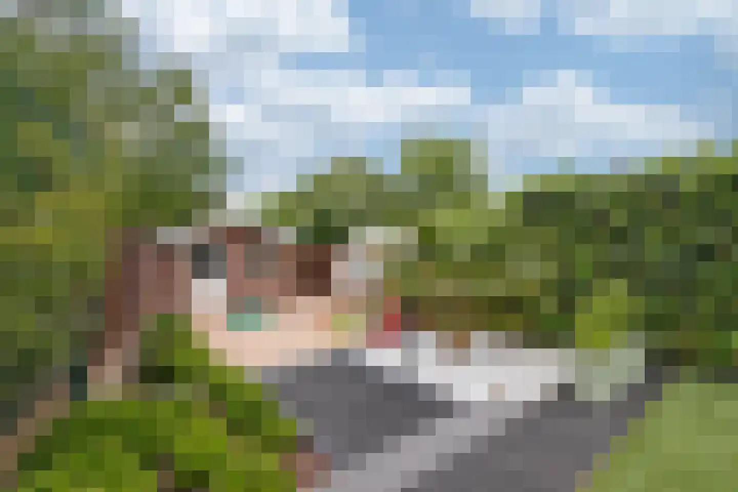 Eeckersteghe 18 Elsloo thumbnail 24