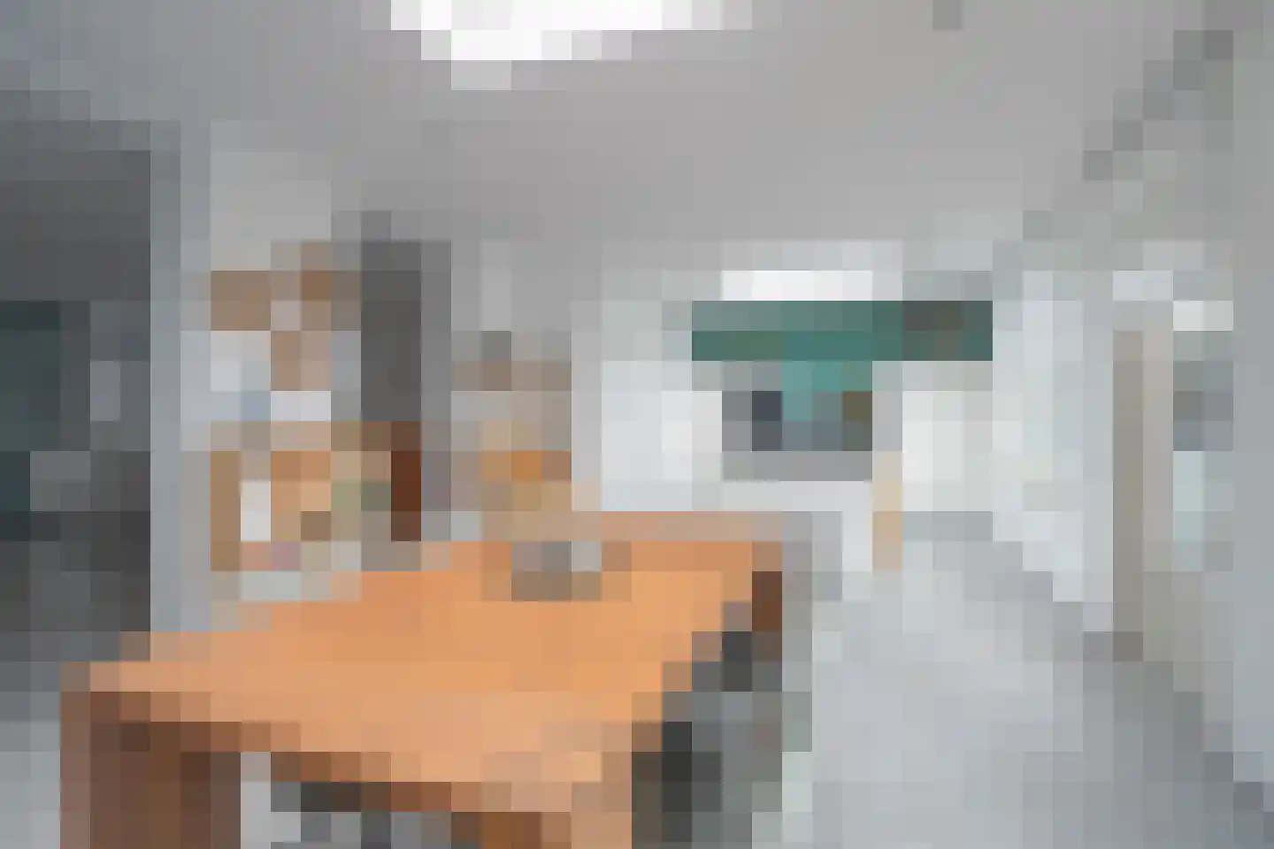 Eeckersteghe 18 Elsloo thumbnail 8