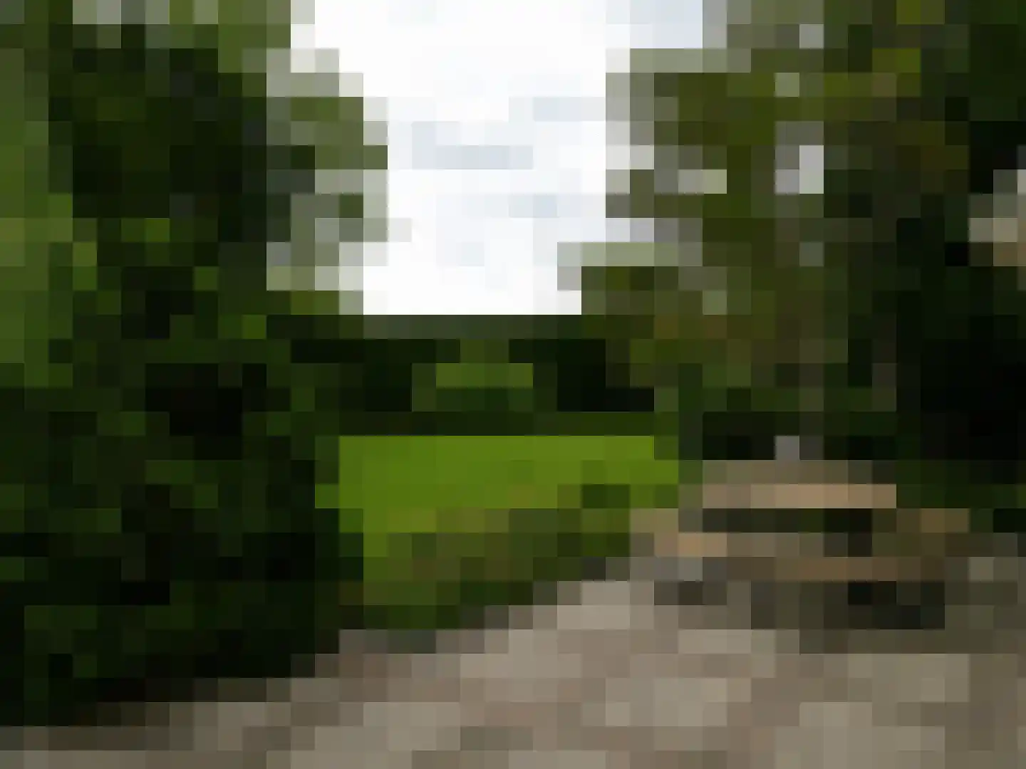 Eedeweg 19 Aardenburg thumbnail 10