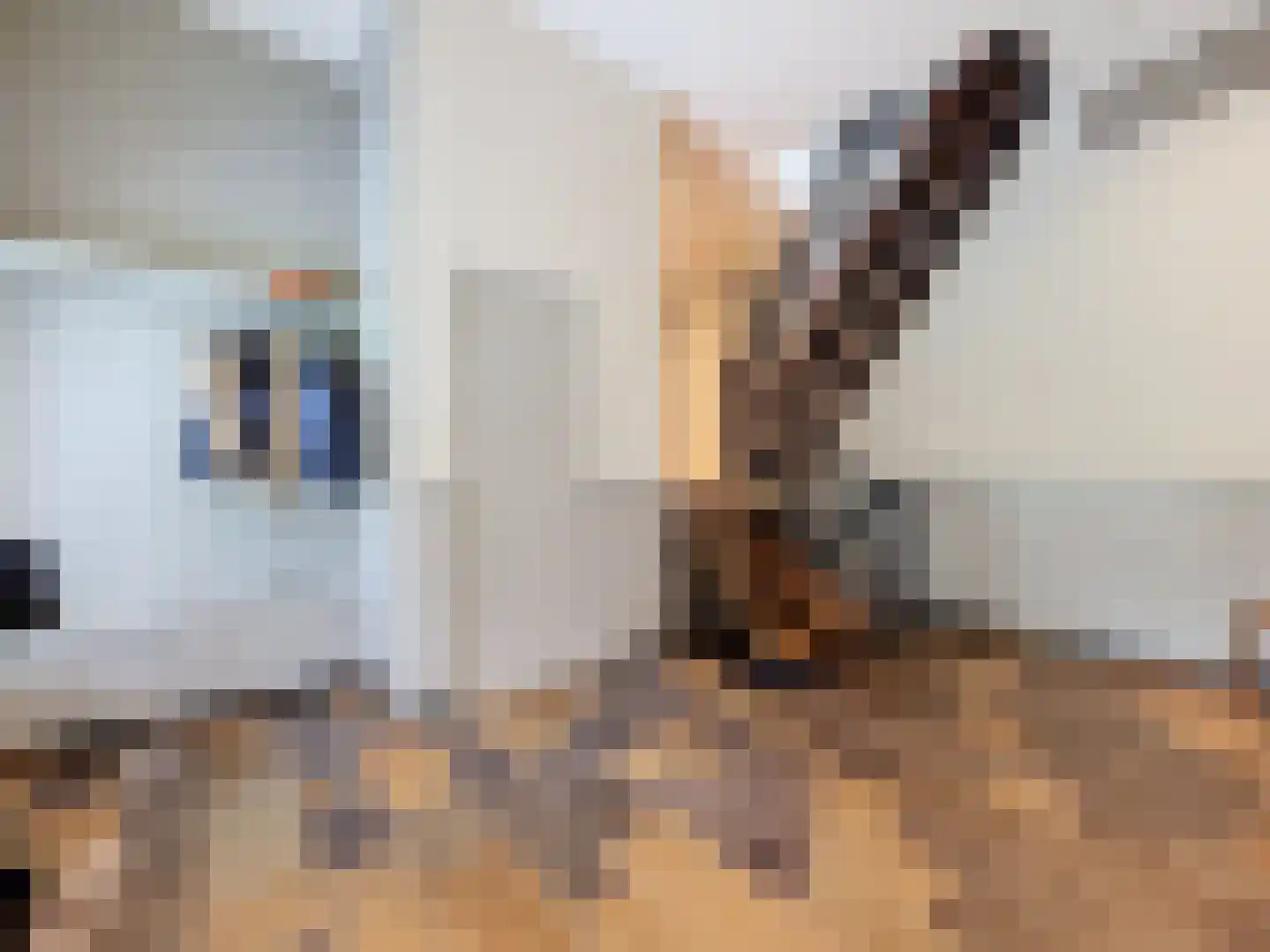 Eedeweg 19 Aardenburg thumbnail 12