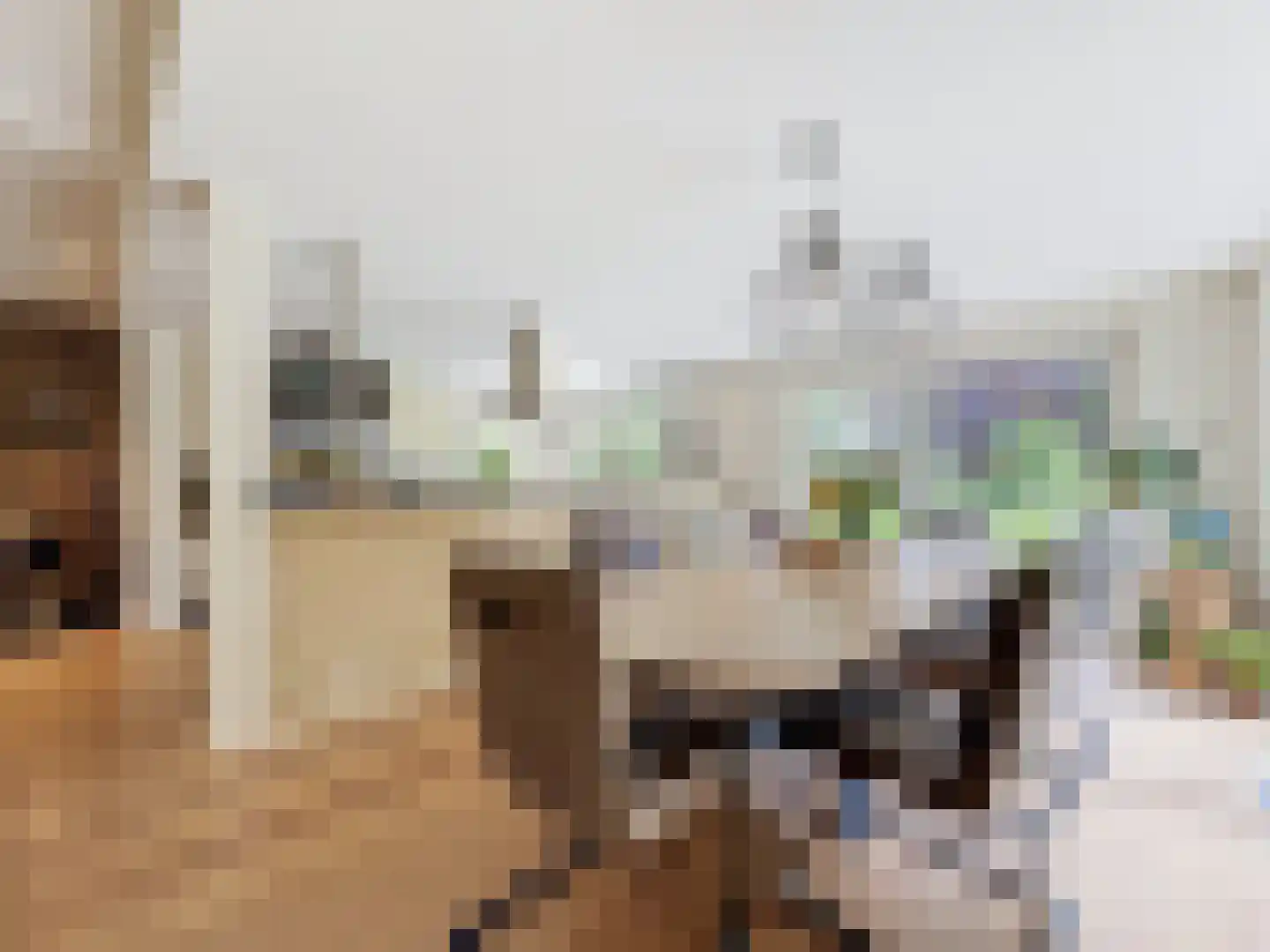Eedeweg 19 Aardenburg thumbnail 23