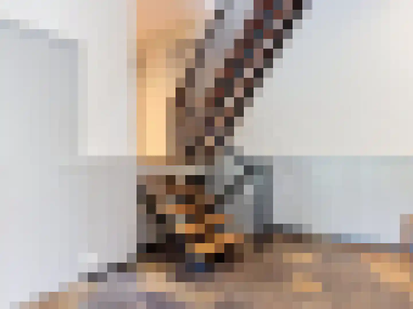 Eedeweg 19 Aardenburg thumbnail 26