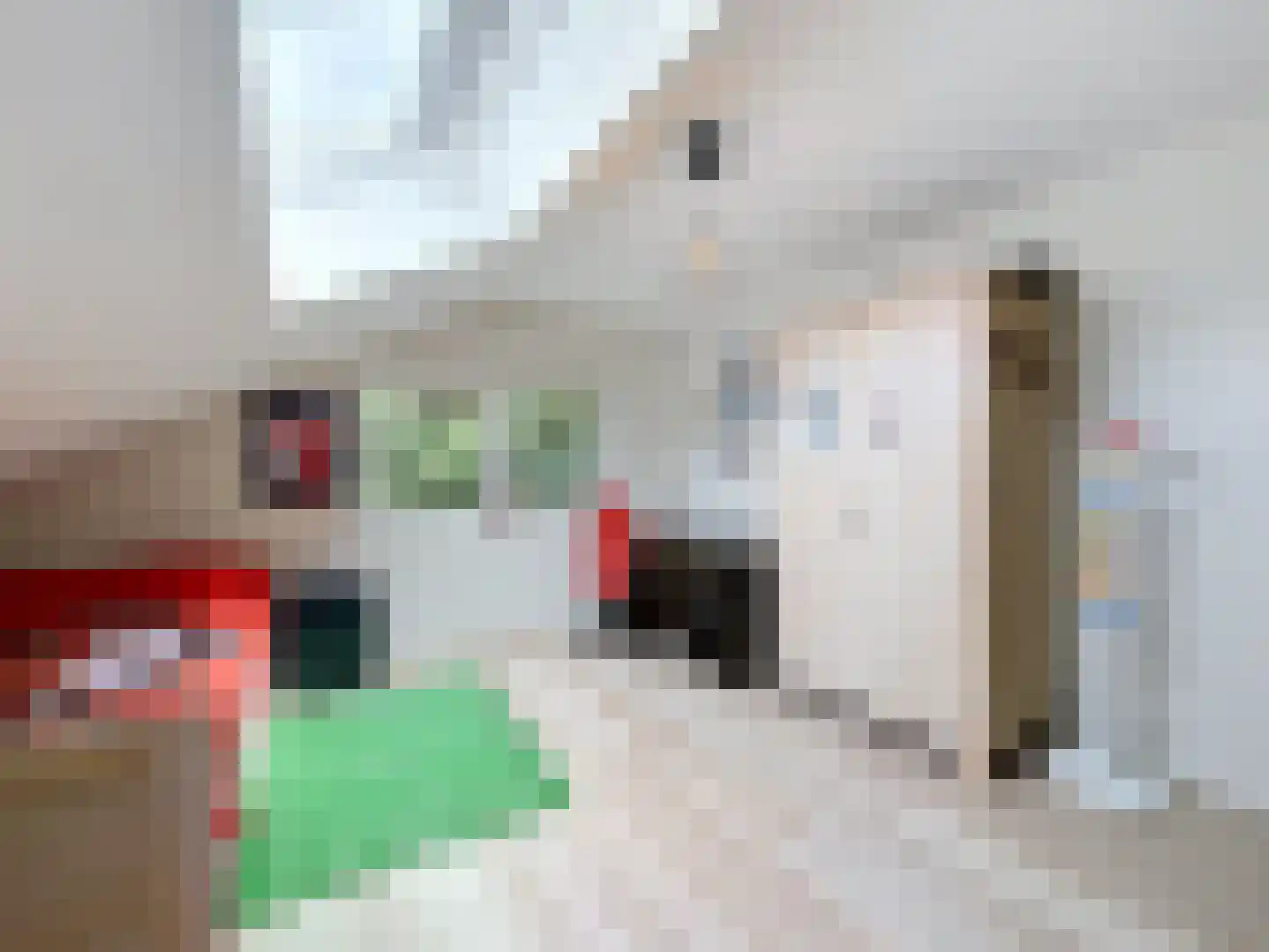 Eedeweg 19 Aardenburg thumbnail 29