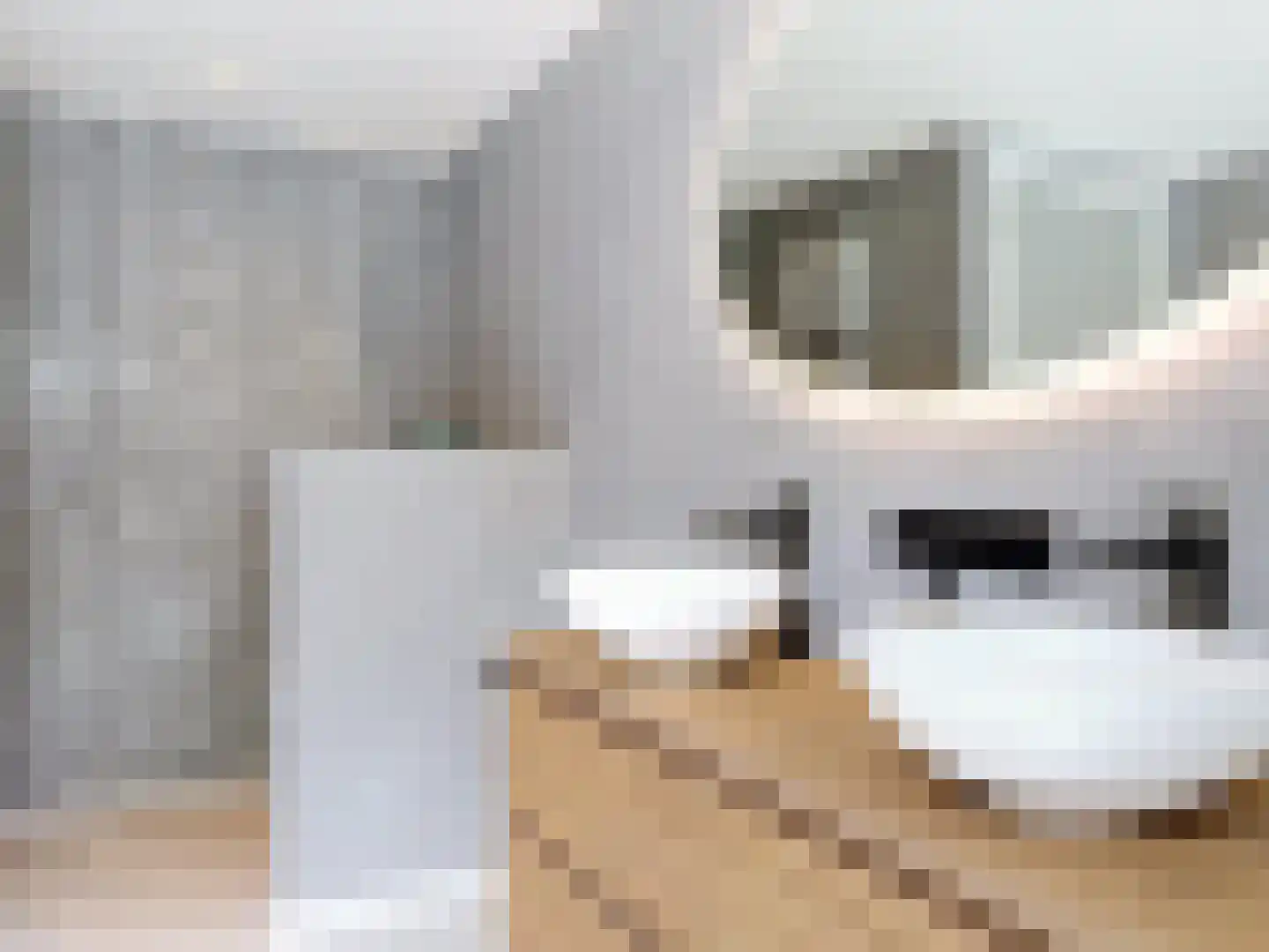 Eedeweg 19 Aardenburg thumbnail 36