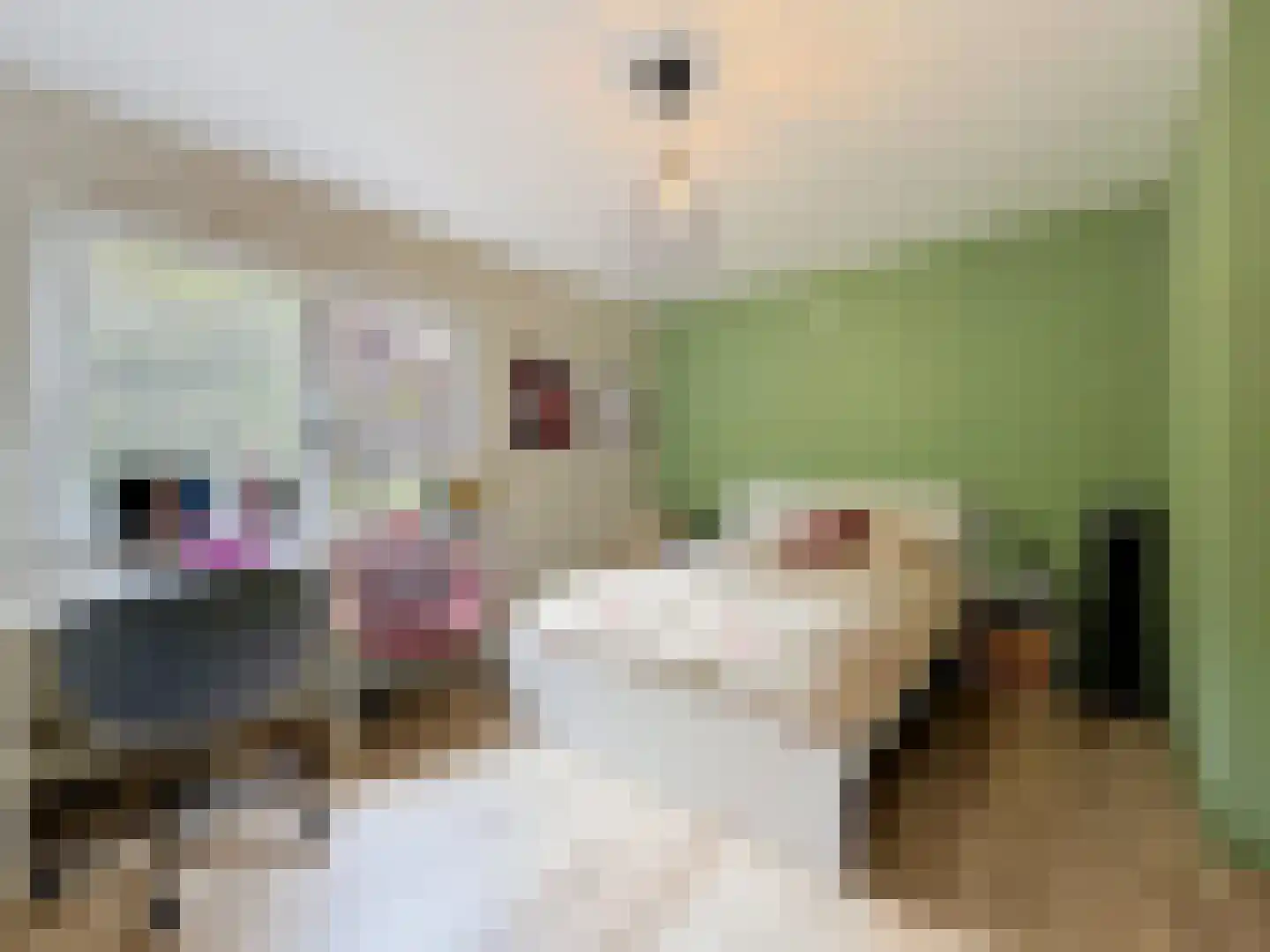 Eedeweg 19 Aardenburg thumbnail 38