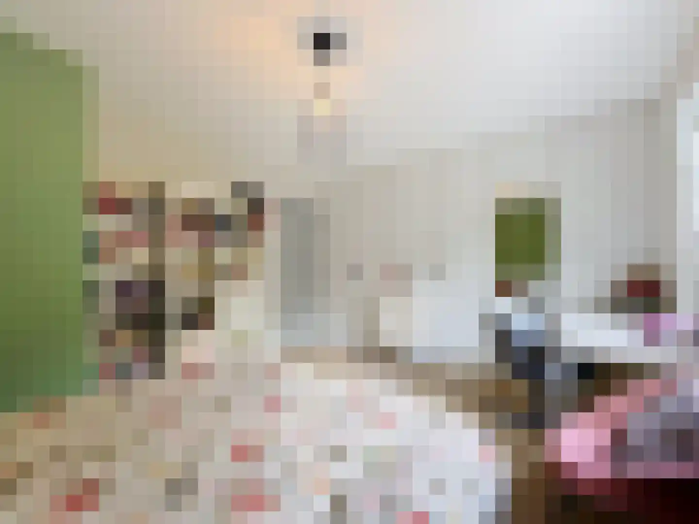 Eedeweg 19 Aardenburg thumbnail 39