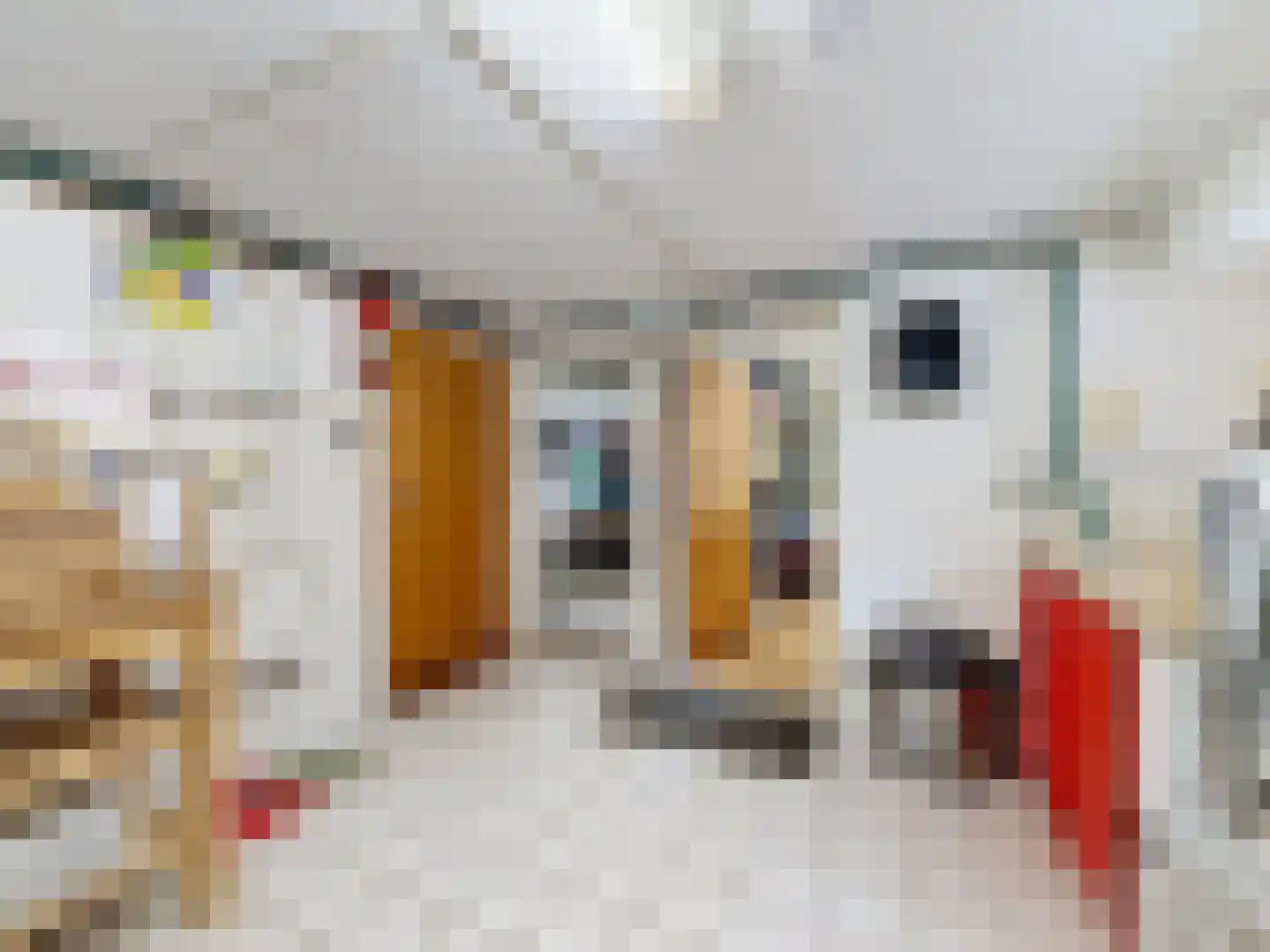 Eedeweg 19 Aardenburg thumbnail 42