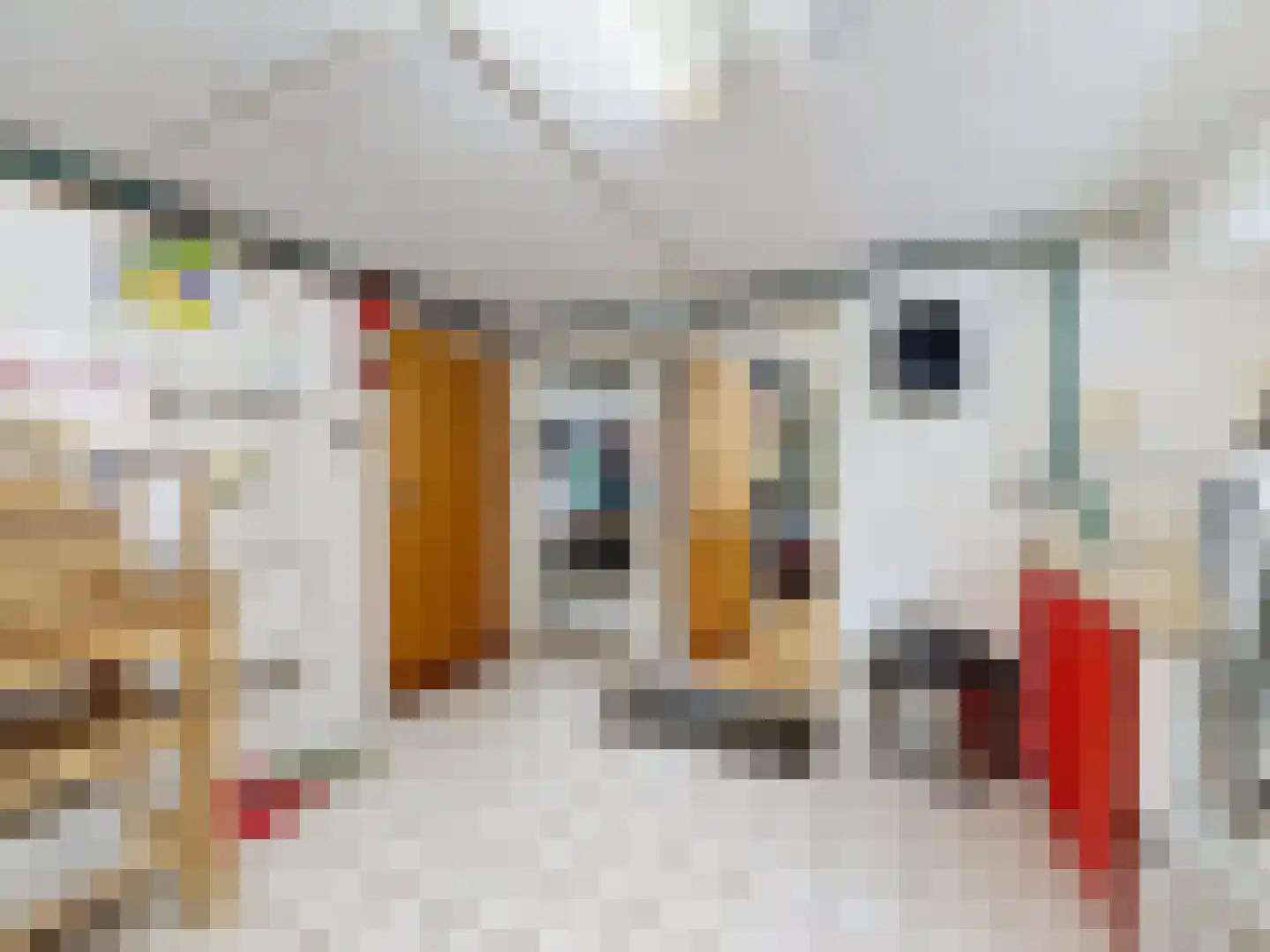 Eedeweg 19 Aardenburg thumbnail 43