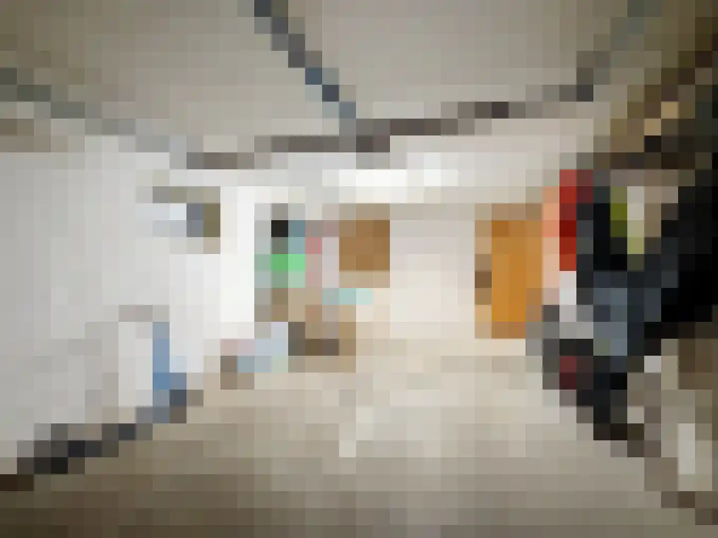 Eedeweg 19 Aardenburg thumbnail 46