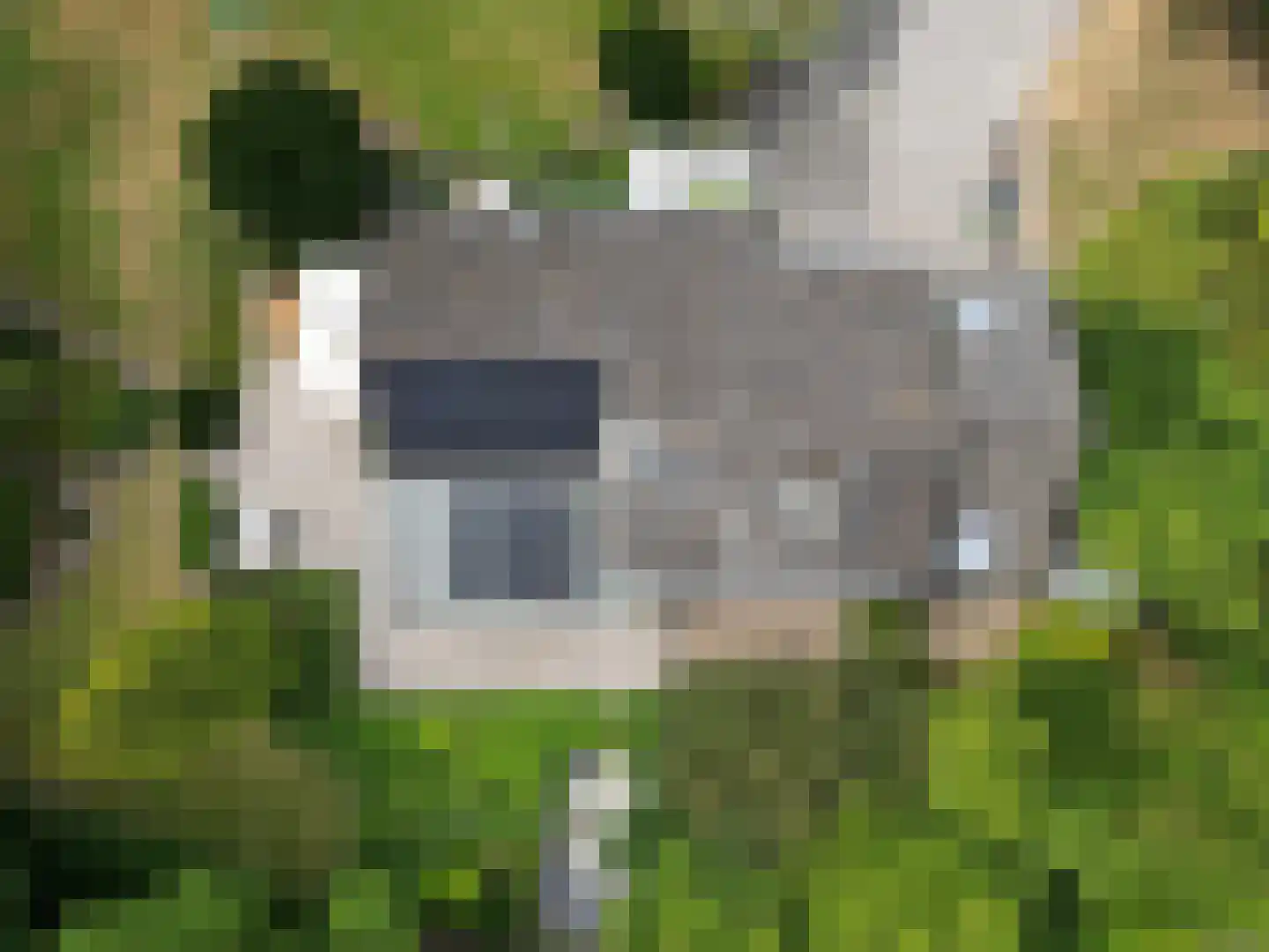Eedeweg 19 Aardenburg thumbnail 50