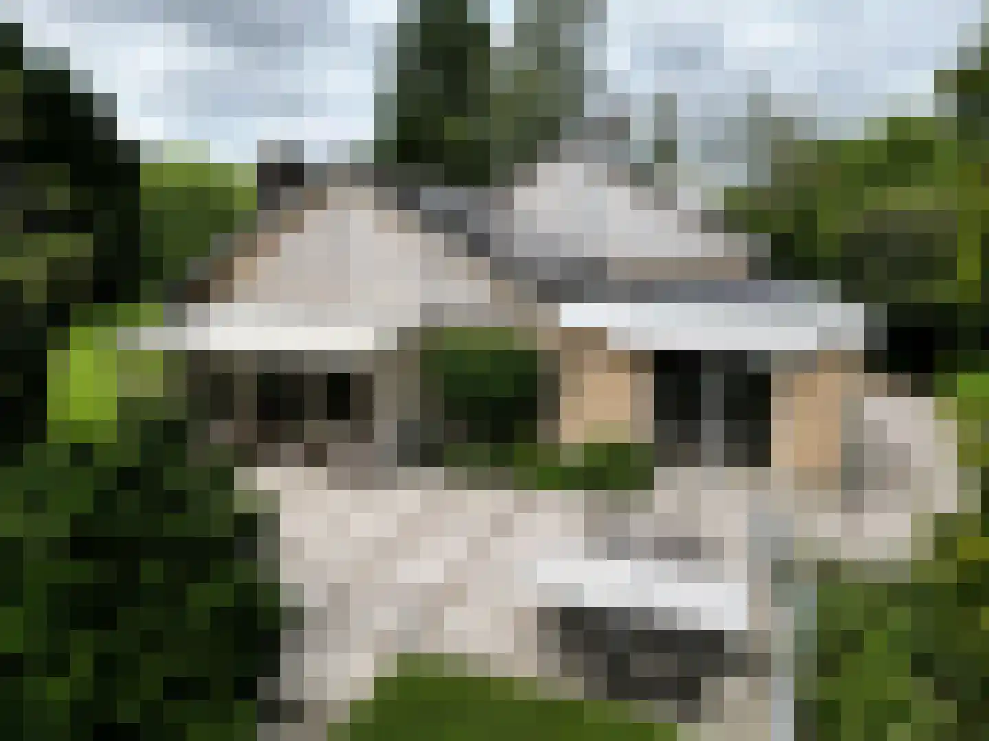 Eedeweg 19 Aardenburg thumbnail 6