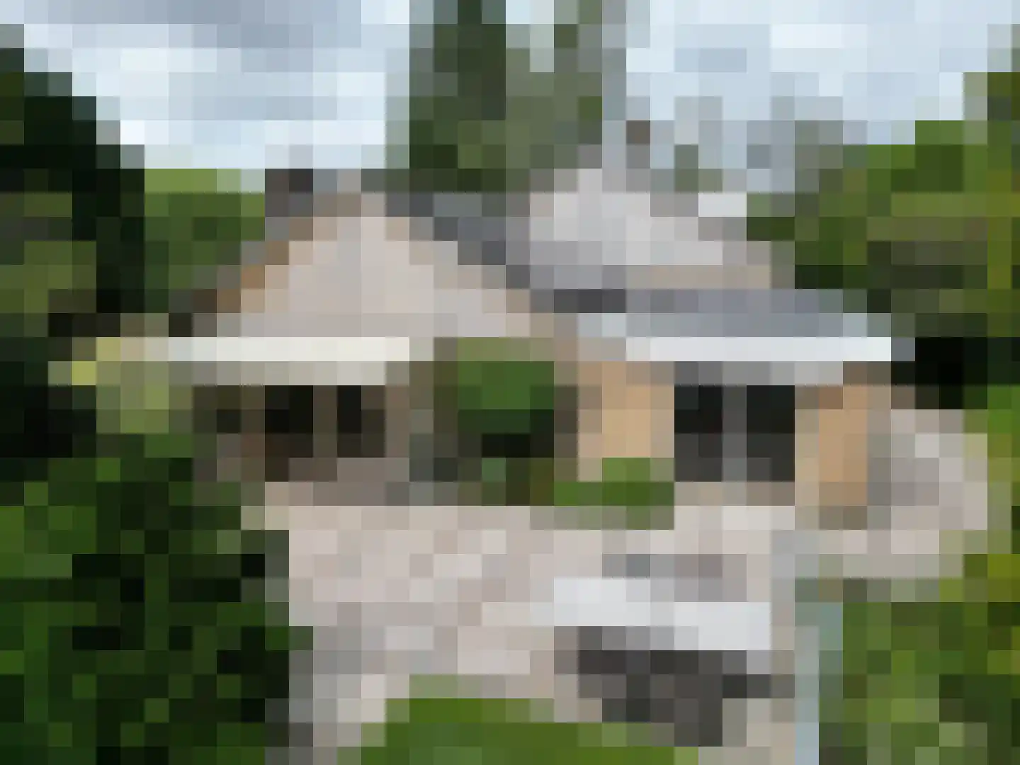 Eedeweg 19 Aardenburg thumbnail 6
