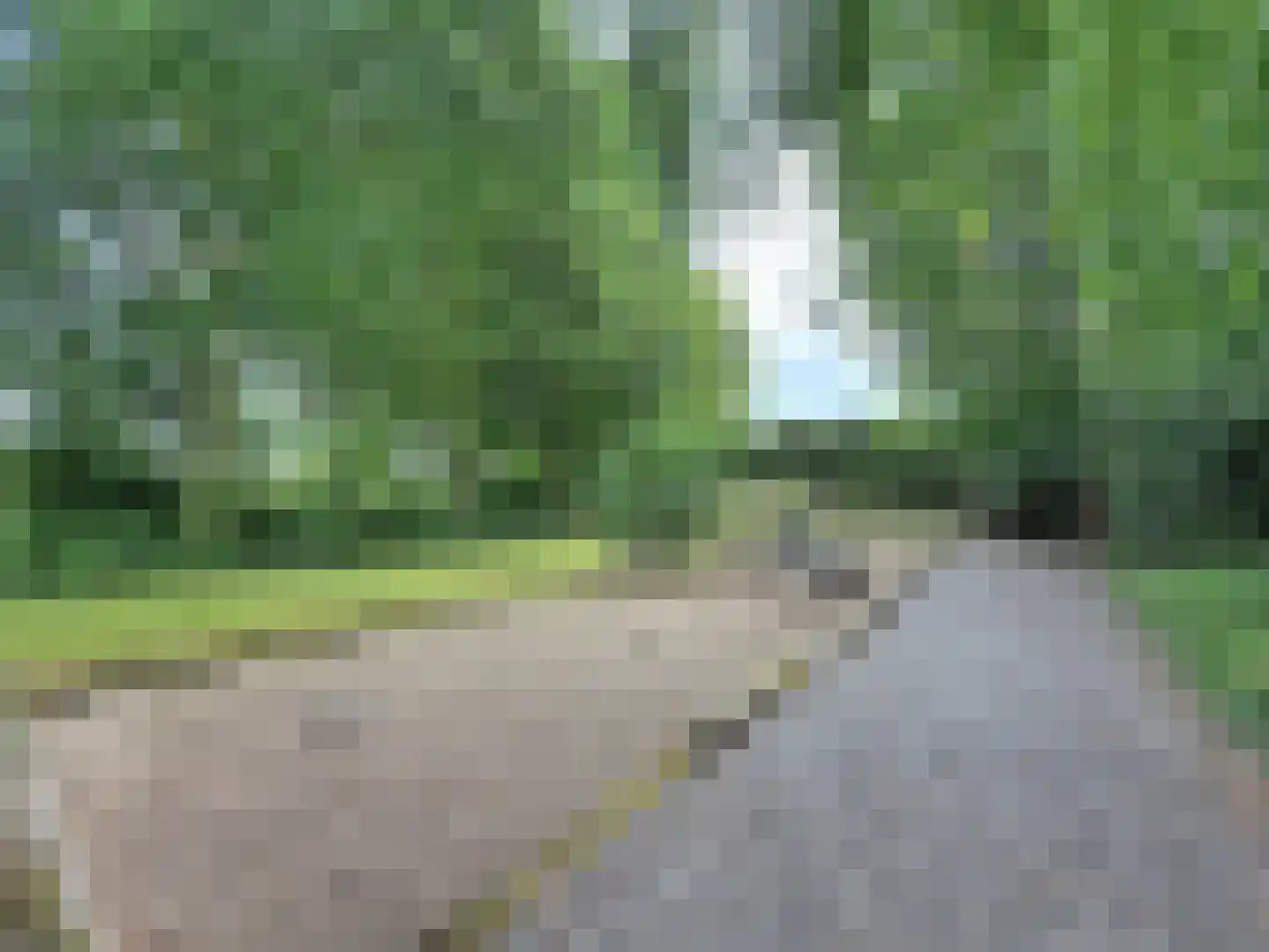 Eedeweg 19 Aardenburg thumbnail 8