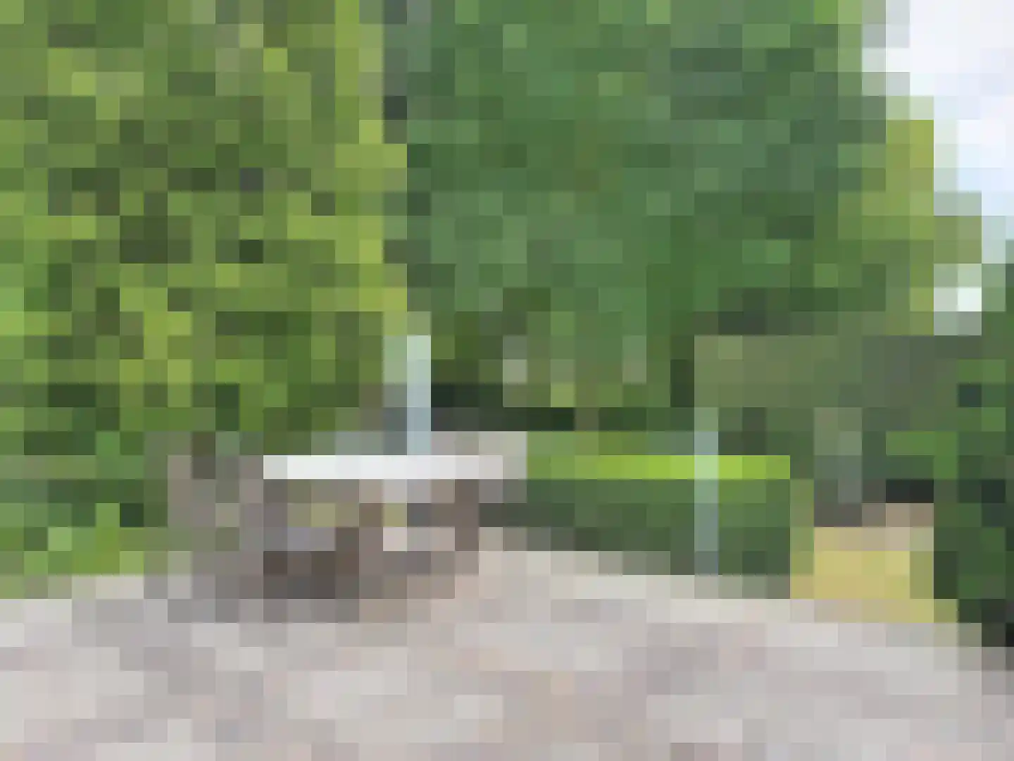 Eedeweg 19 Aardenburg thumbnail 9