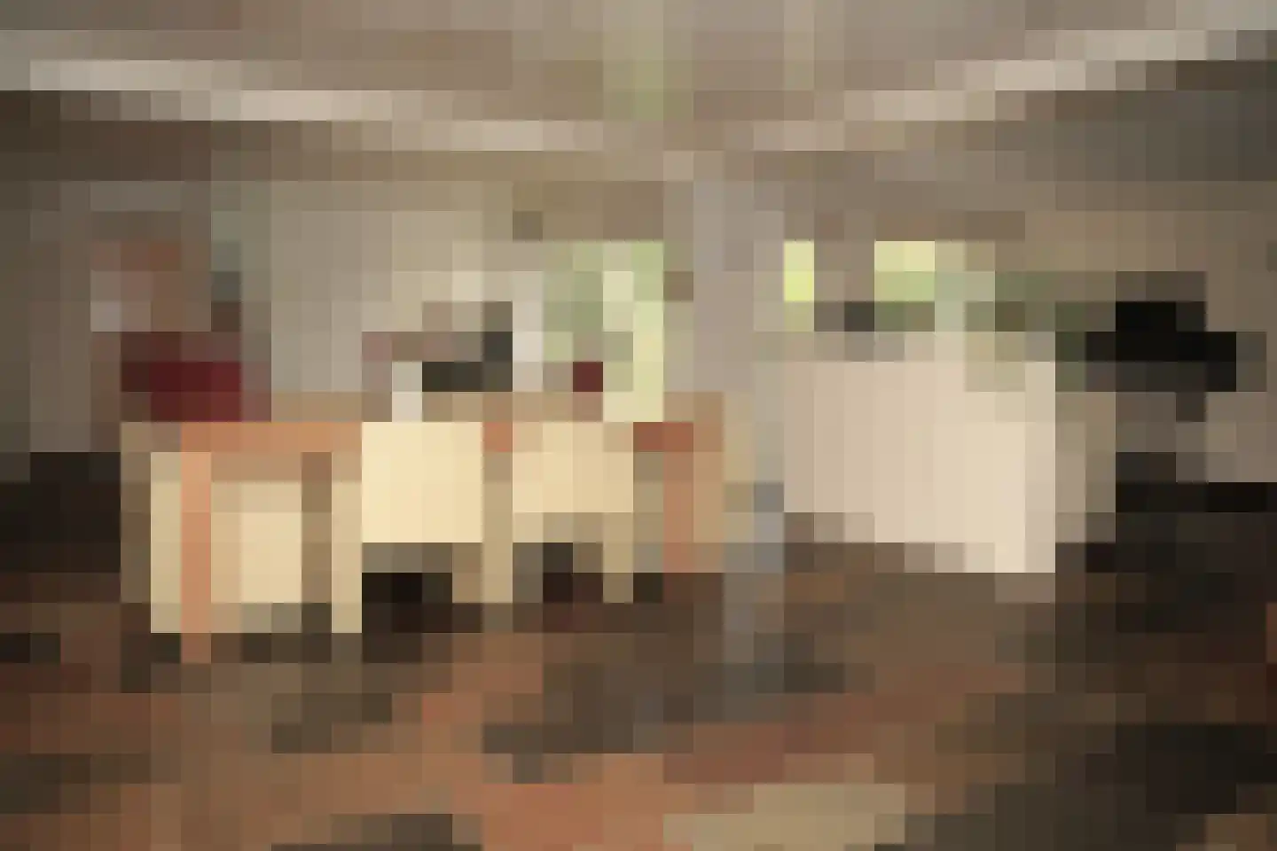 Eedeweg 22 Aardenburg thumbnail 13