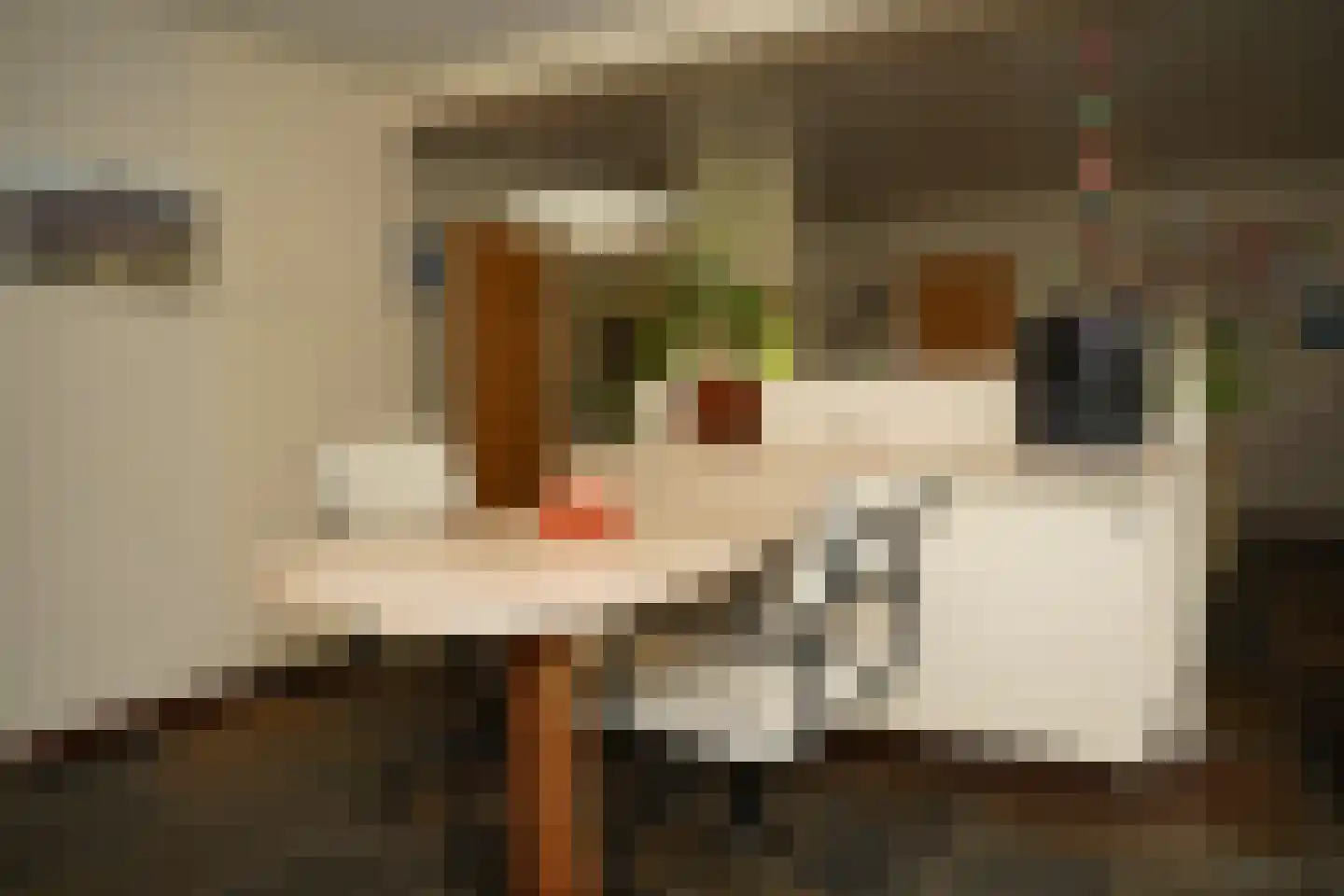 Eedeweg 22 Aardenburg thumbnail 17