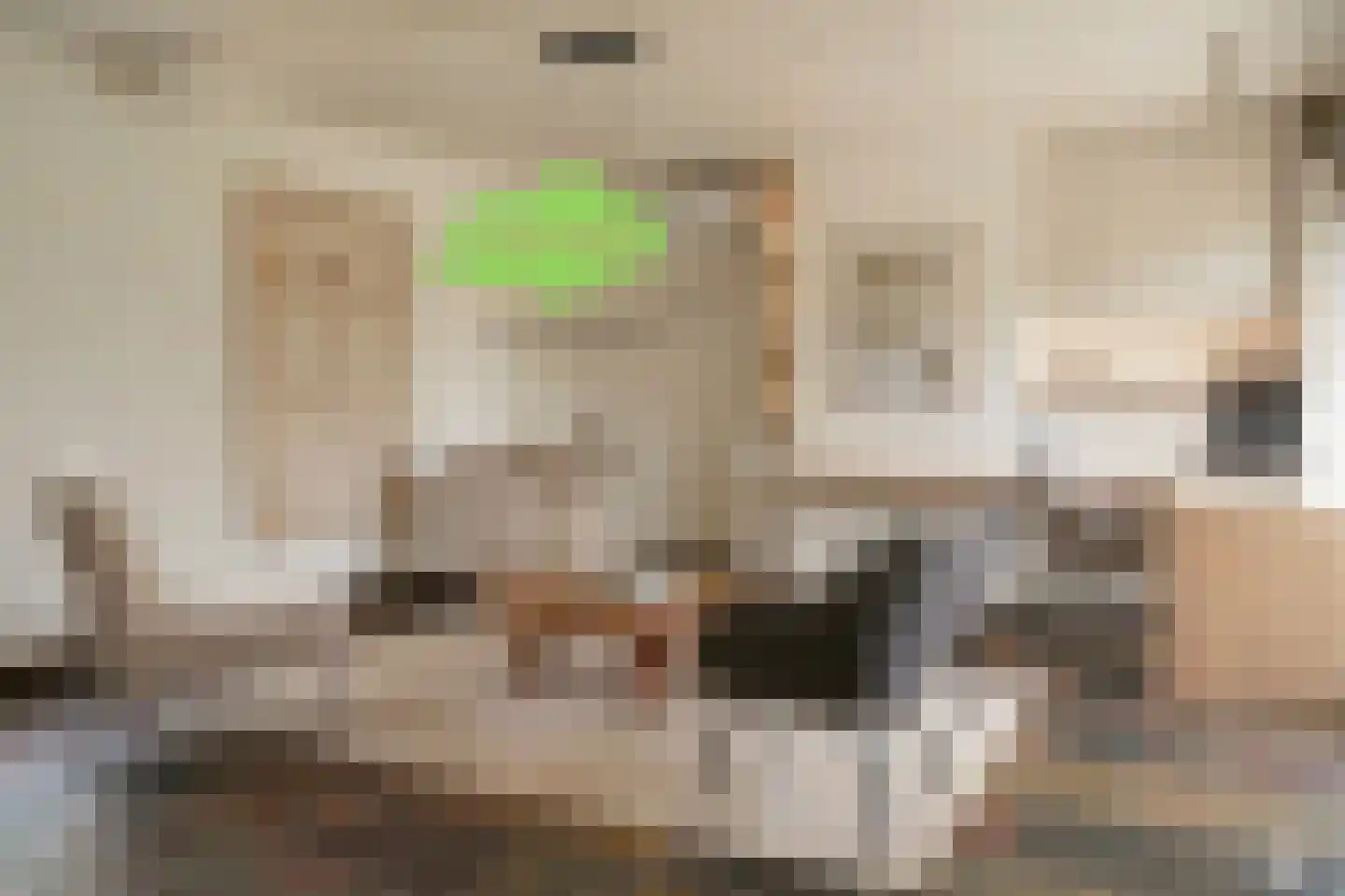 Eedeweg 22 Aardenburg thumbnail 19