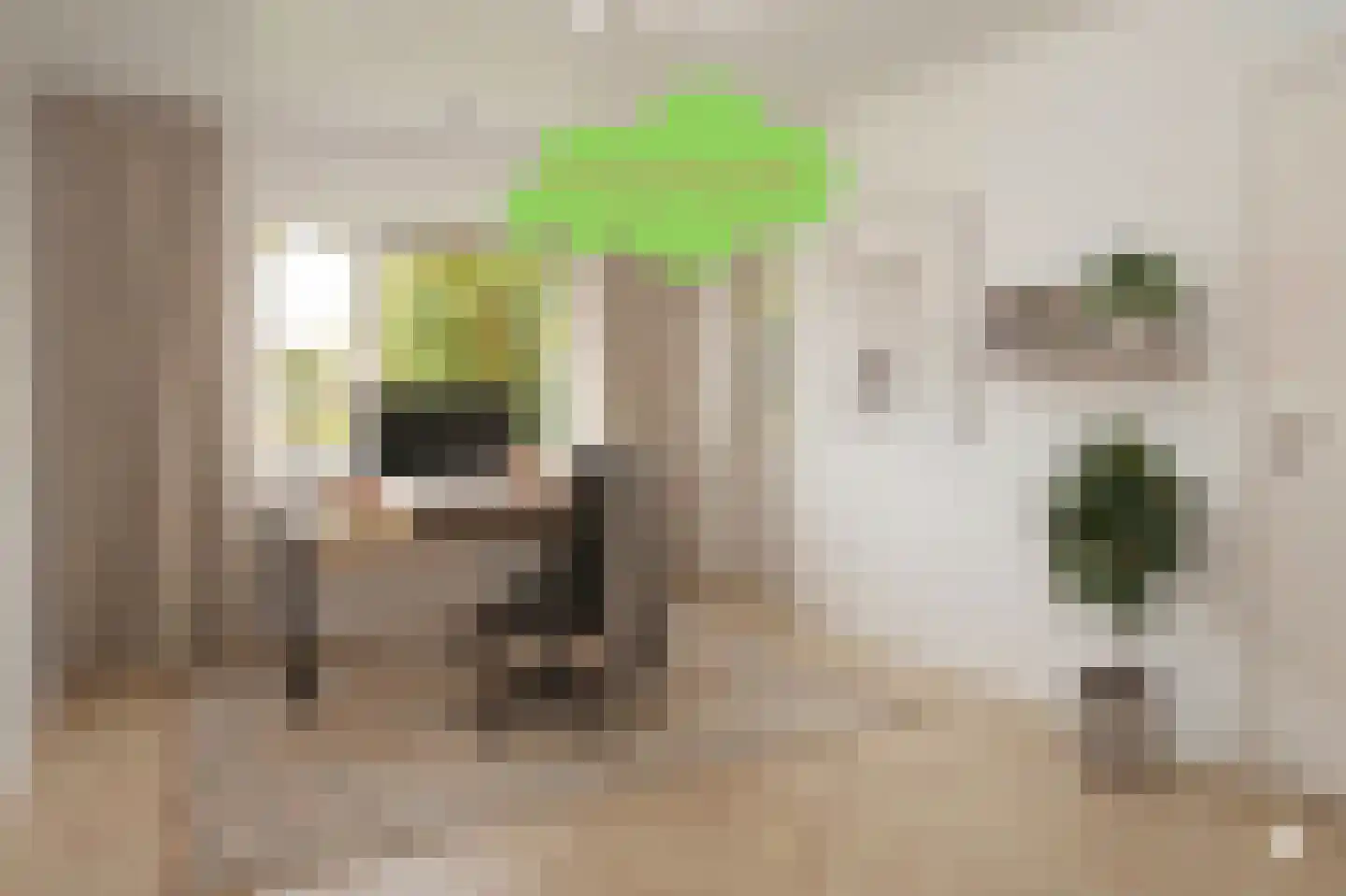 Eedeweg 22 Aardenburg thumbnail 21