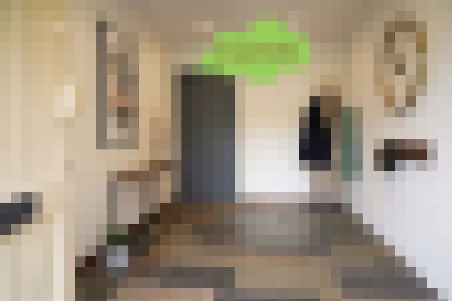 Eedeweg 22 Aardenburg thumbnail 4