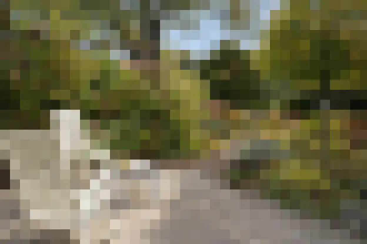 Eedeweg 22 Aardenburg thumbnail 42
