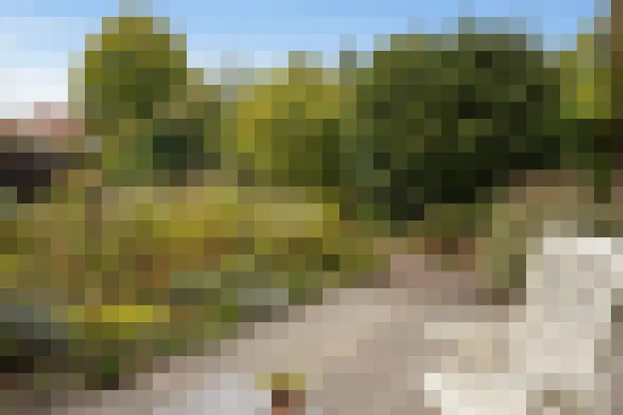 Eedeweg 22 Aardenburg thumbnail 43