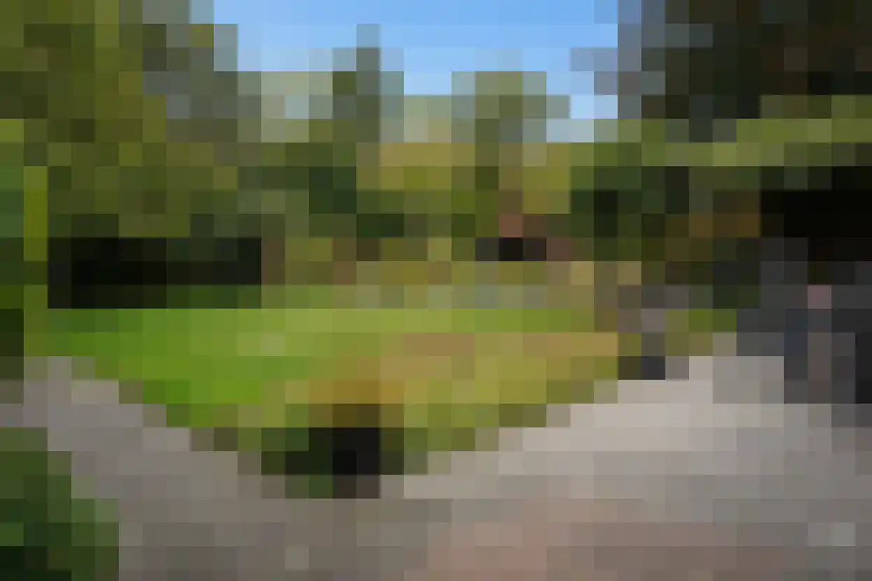 Eedeweg 22 Aardenburg thumbnail 44