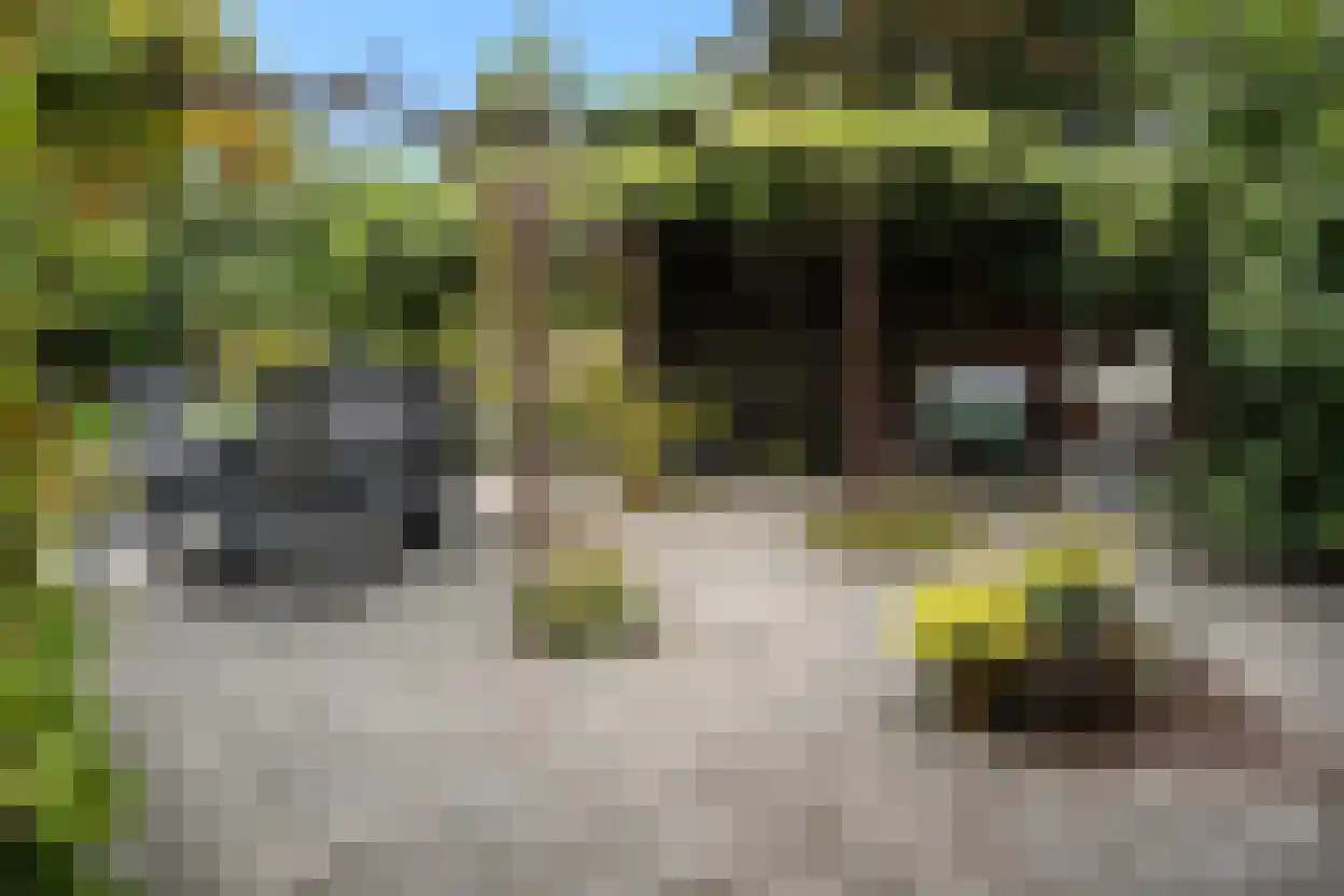 Eedeweg 22 Aardenburg thumbnail 45