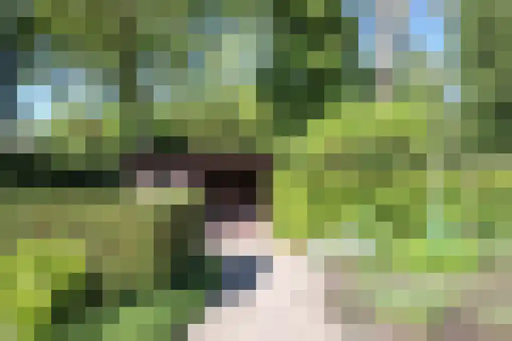 Eedeweg 22 Aardenburg thumbnail 48