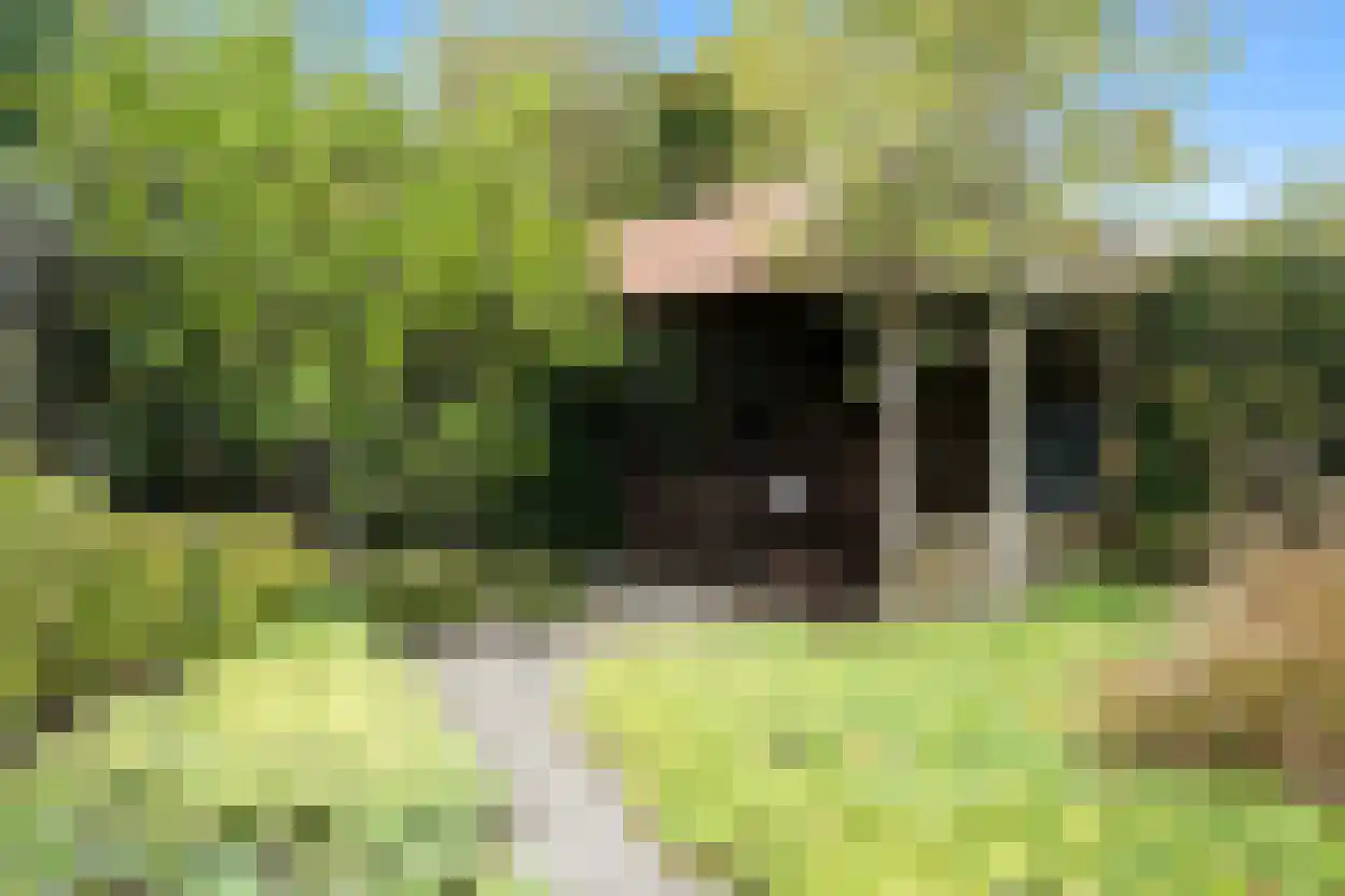 Eedeweg 22 Aardenburg thumbnail 49