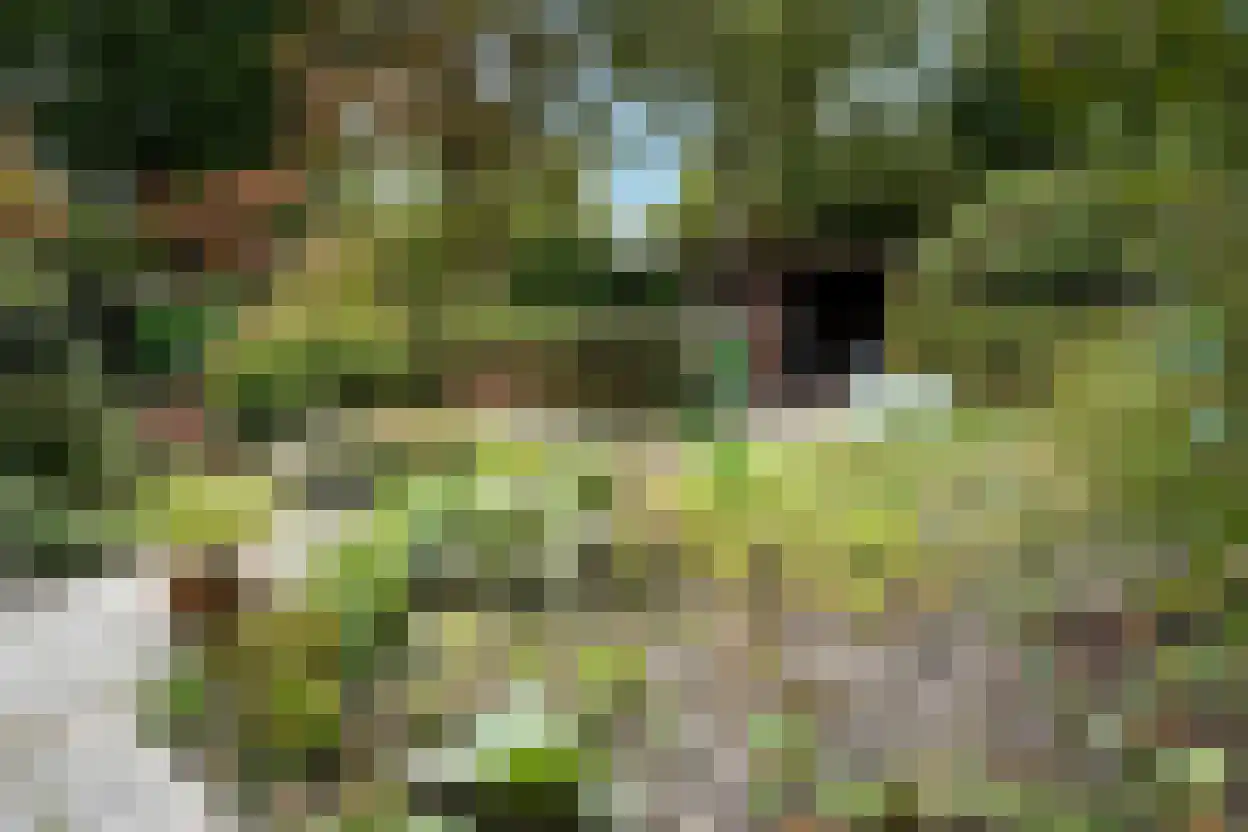 Eedeweg 22 Aardenburg thumbnail 50