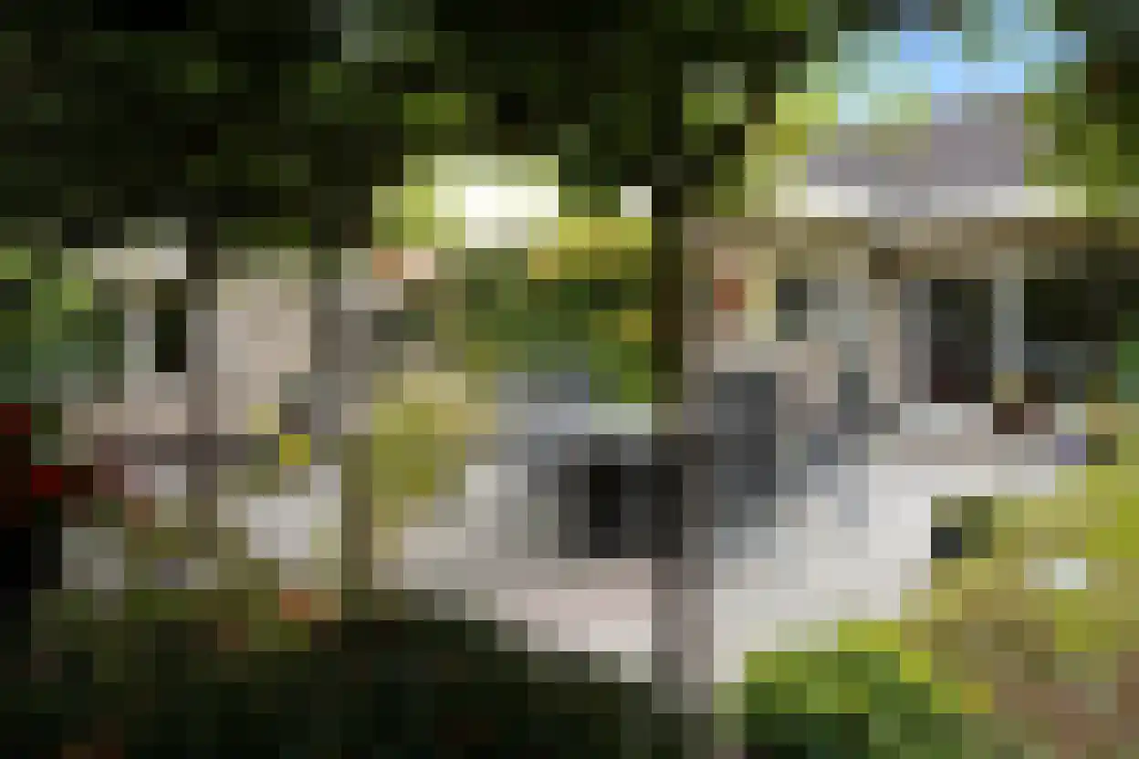 Eedeweg 22 Aardenburg thumbnail 51