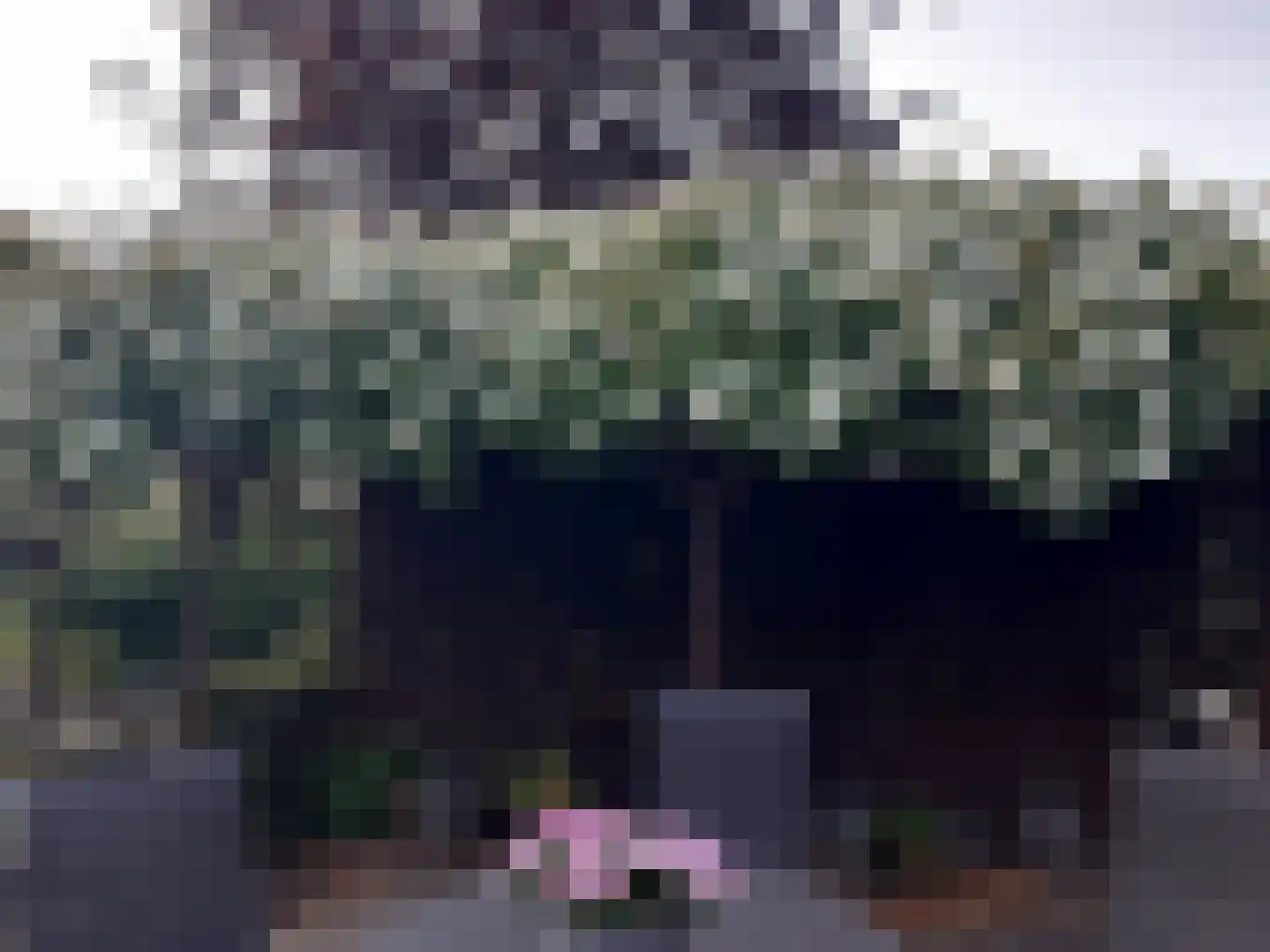 Eedeweg 22 Aardenburg thumbnail 52