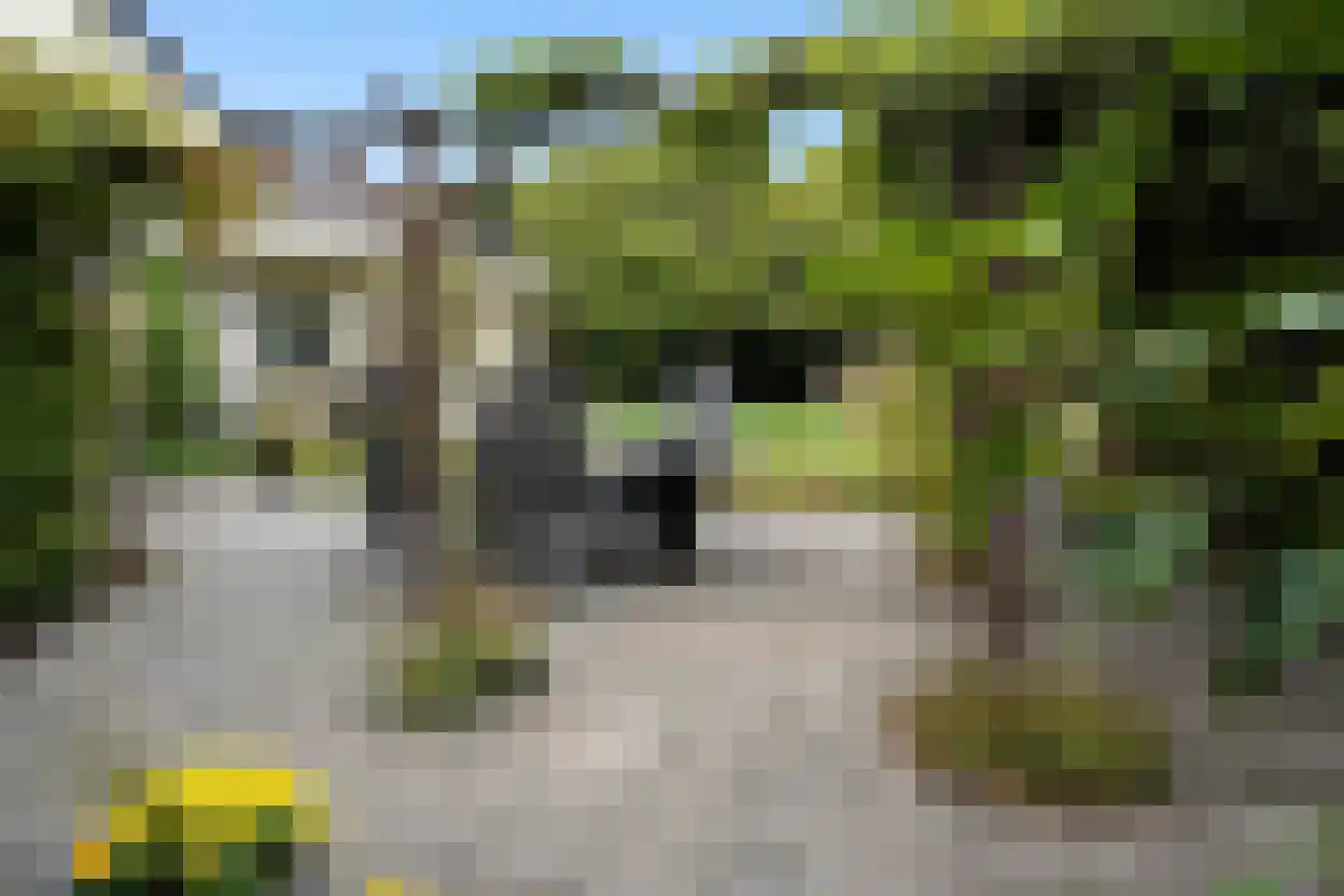Eedeweg 22 Aardenburg thumbnail 53