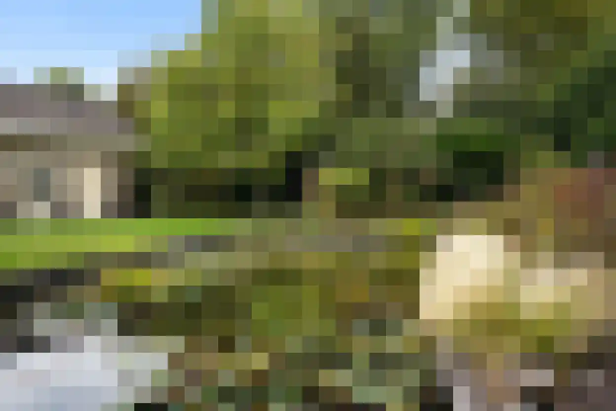 Eedeweg 22 Aardenburg thumbnail 56