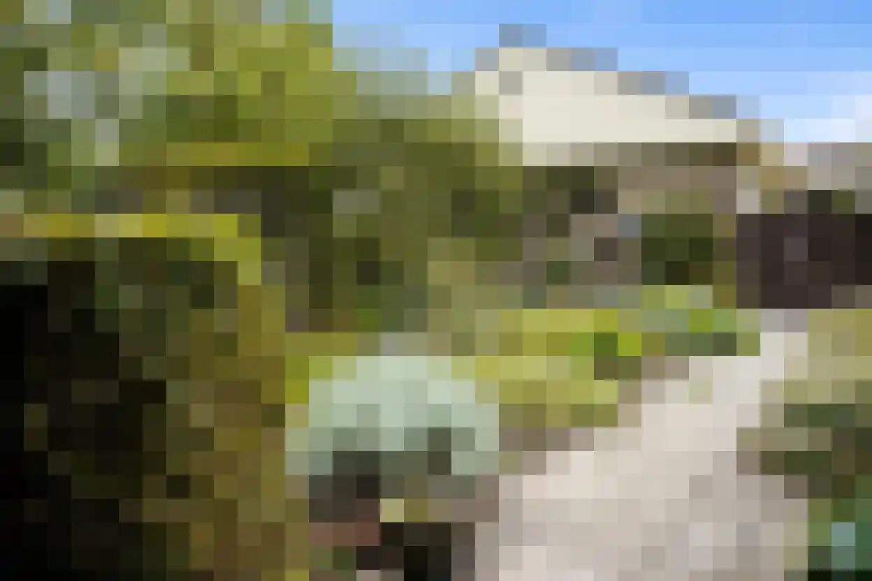 Eedeweg 22 Aardenburg thumbnail 59