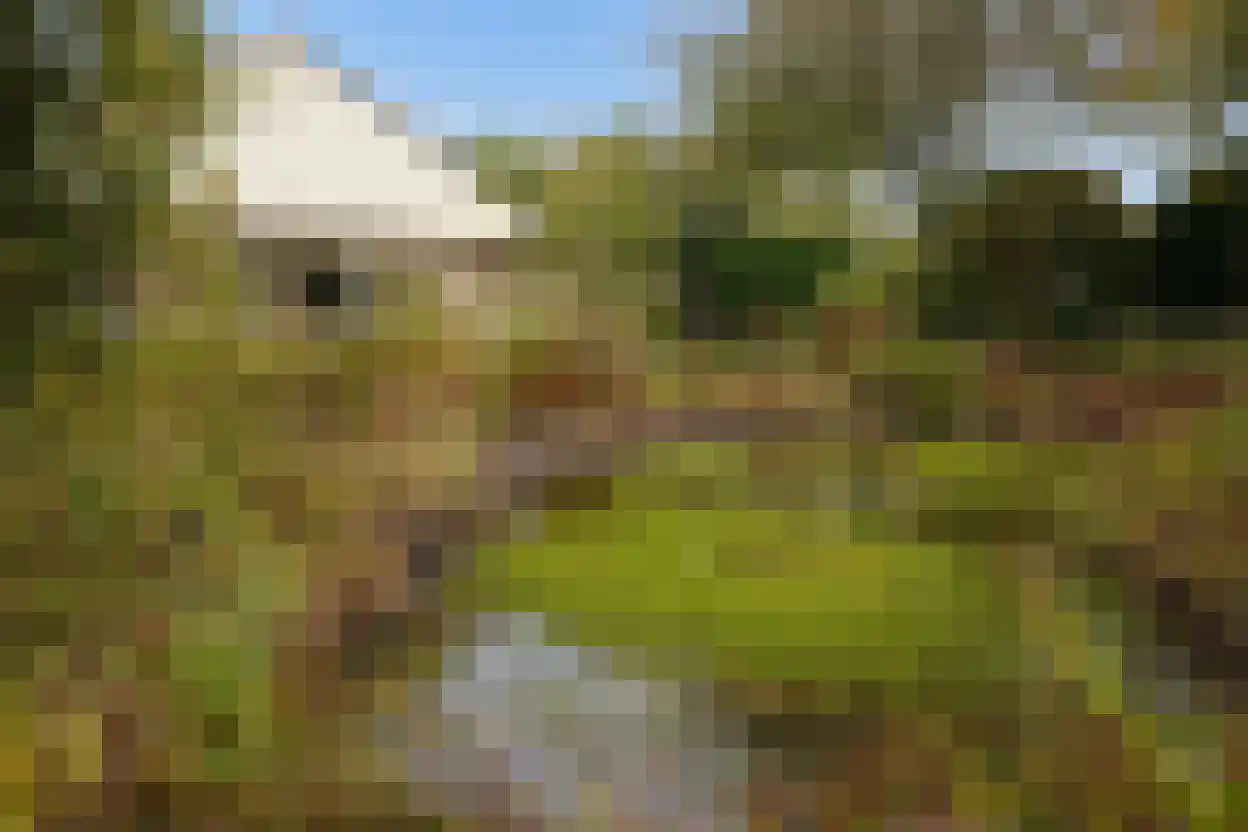 Eedeweg 22 Aardenburg thumbnail 60