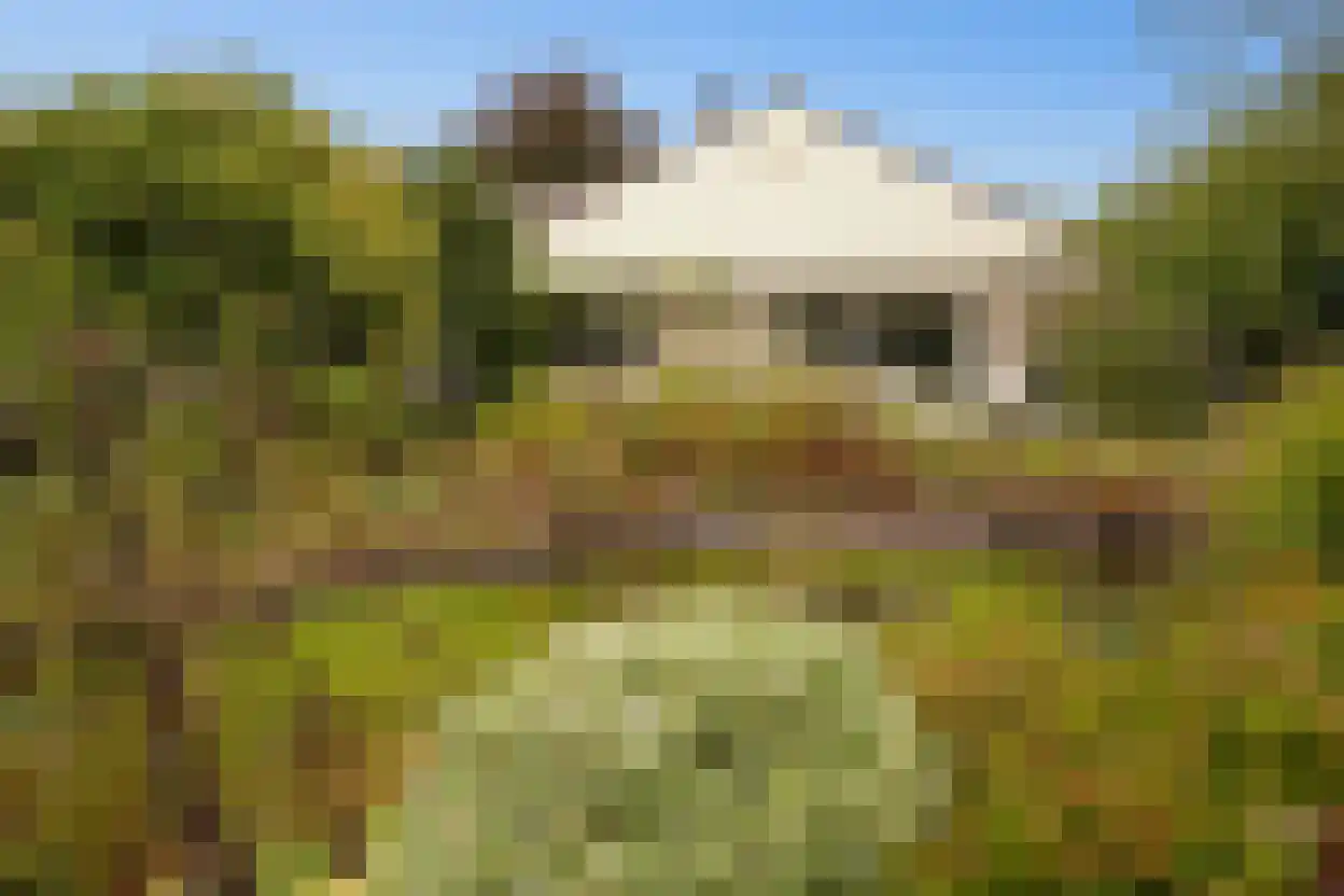 Eedeweg 22 Aardenburg thumbnail 61