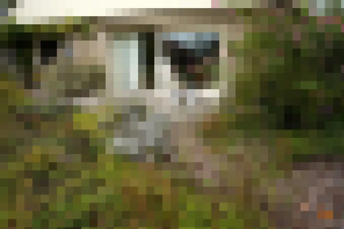 Eedeweg 22 Aardenburg thumbnail 62