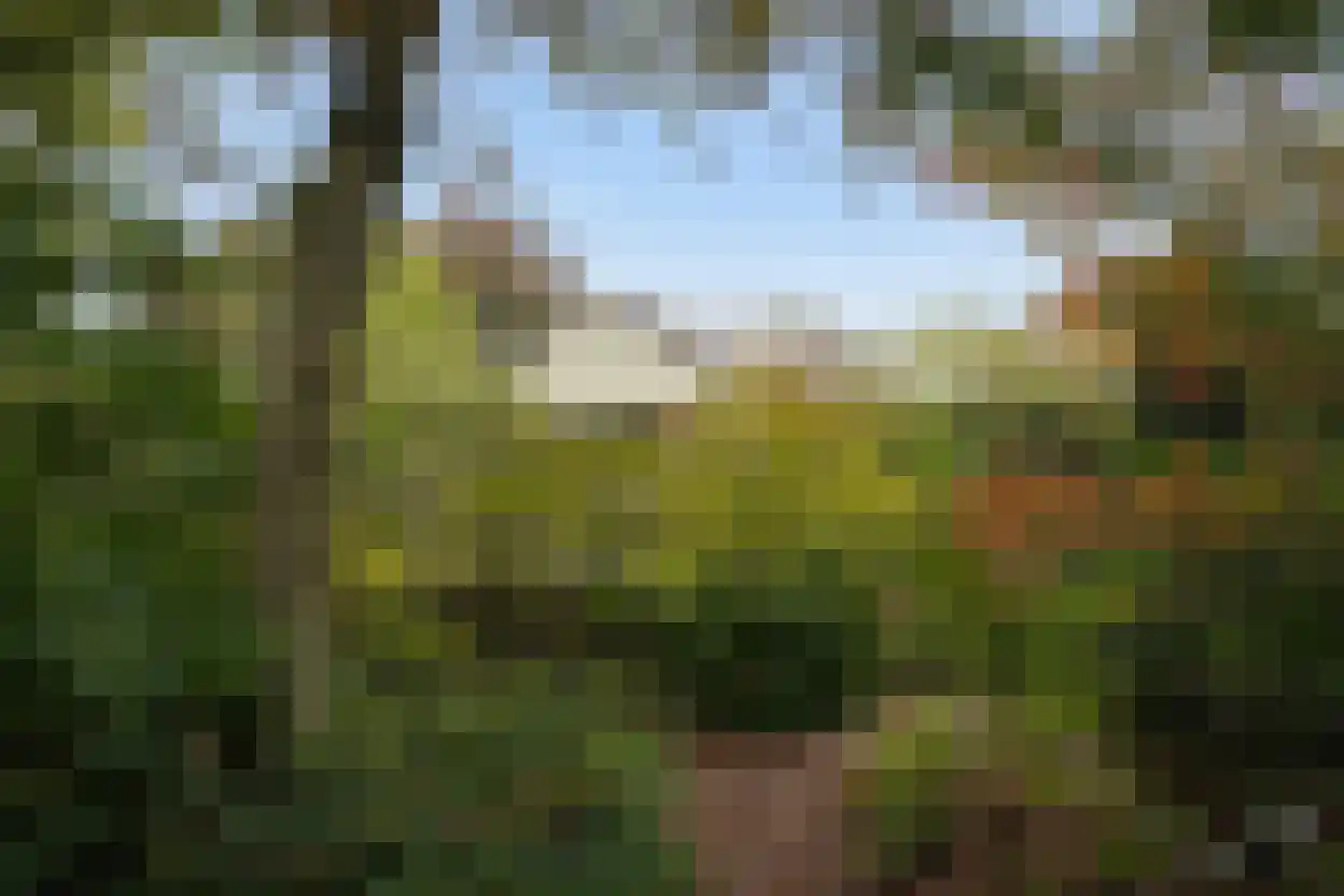 Eedeweg 22 Aardenburg thumbnail 63