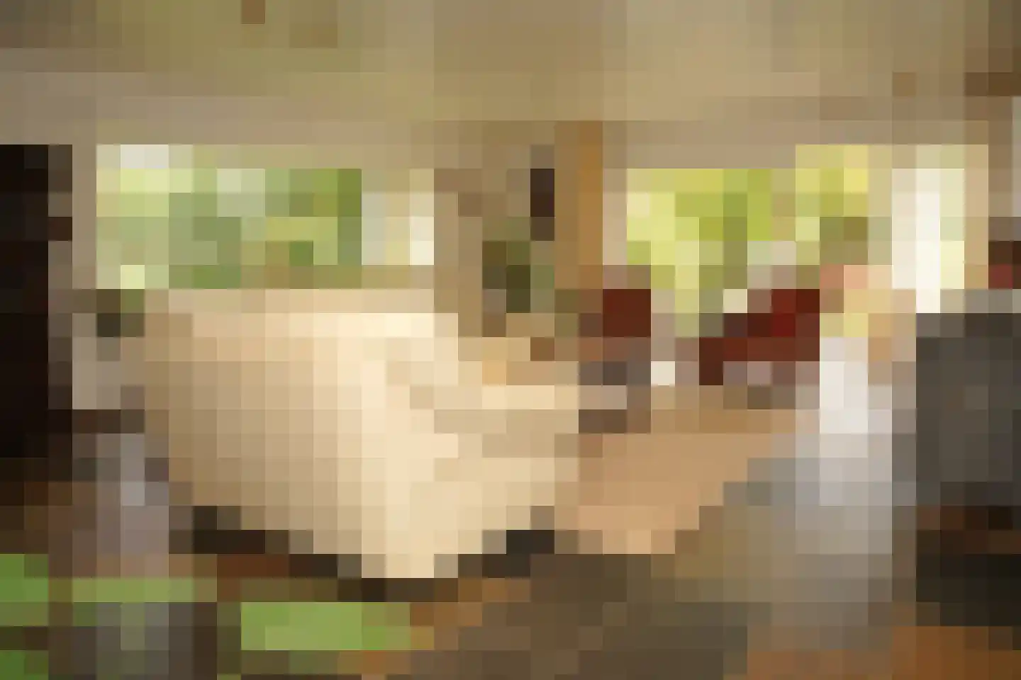 Eedeweg 22 Aardenburg thumbnail 8