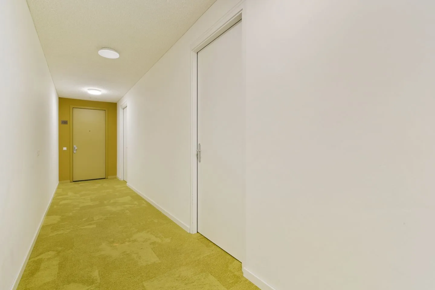 Eef Kamerbeekstraat 250 Amsterdam thumbnail 12