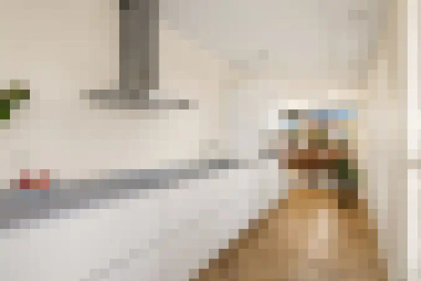 Eef Kamerbeekstraat 294 Amsterdam thumbnail 13