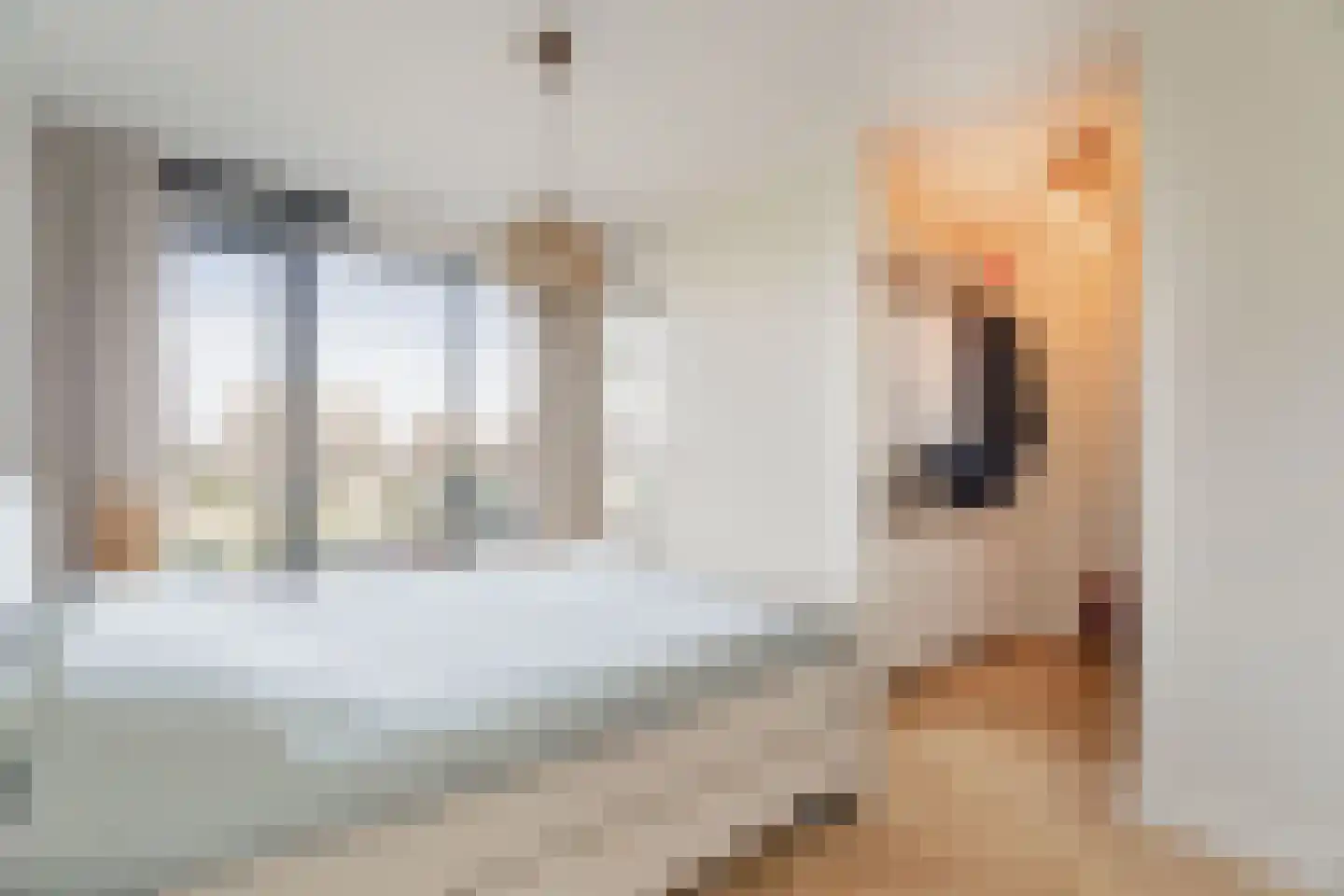 Eef Kamerbeekstraat 294 Amsterdam thumbnail 16