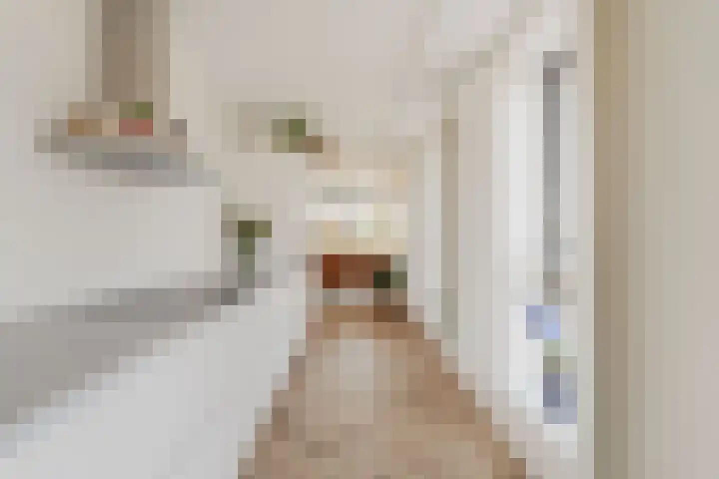 Eef Kamerbeekstraat 294 Amsterdam thumbnail 22